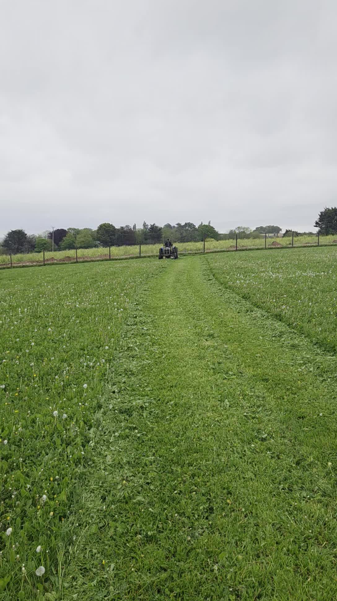 Colin has been out cutting the grass in the dog walking field, its amazing how quickly the grass can grow when the sun comes out. #cannington #dogwalking #bridgwater