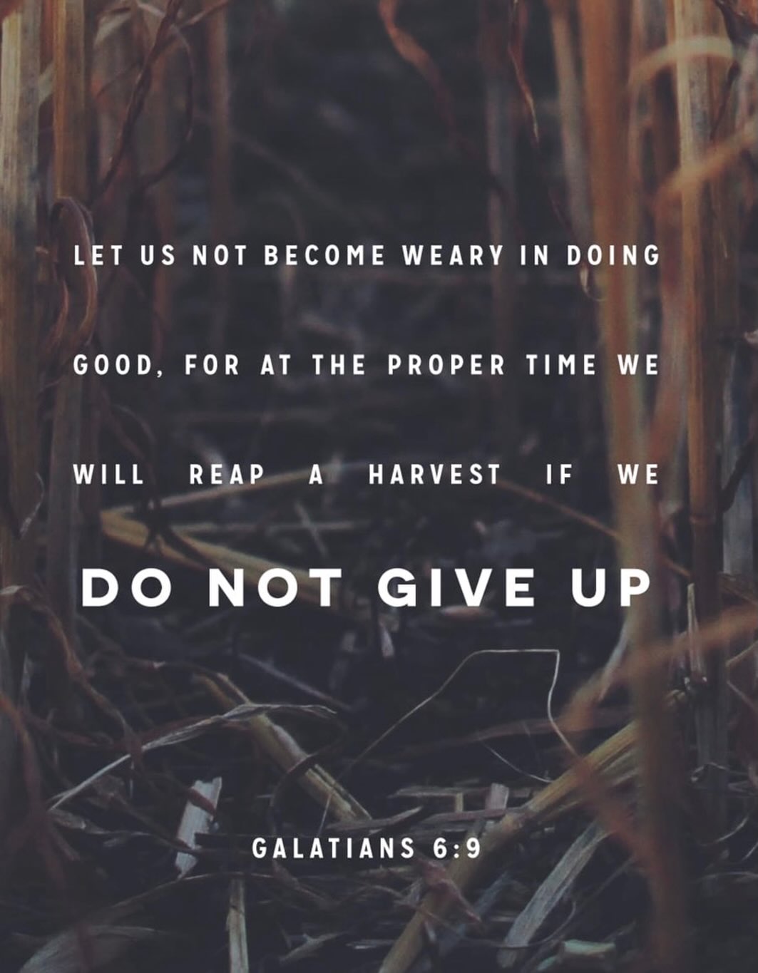 05.19.2026
✨EVERYTHING IS WORTH IT!✨
Sometimes doing the right thing feels exhausting when nobody notices, nothing changes immediately, or the results take time.
But God never wastes your obedience.
Keep showing up.
Keep serving.
Keep choosing what’s right.
The harvest may not be immediate, but it will come at the right time if you don’t give up.
“We must not become tired of doing good. We will receive our harvest of eternal life at the right time. We must not give up.” -Galatians 6:9
#wordoftheday #verseoftheday #youngadults #Godisgood #teamJesus