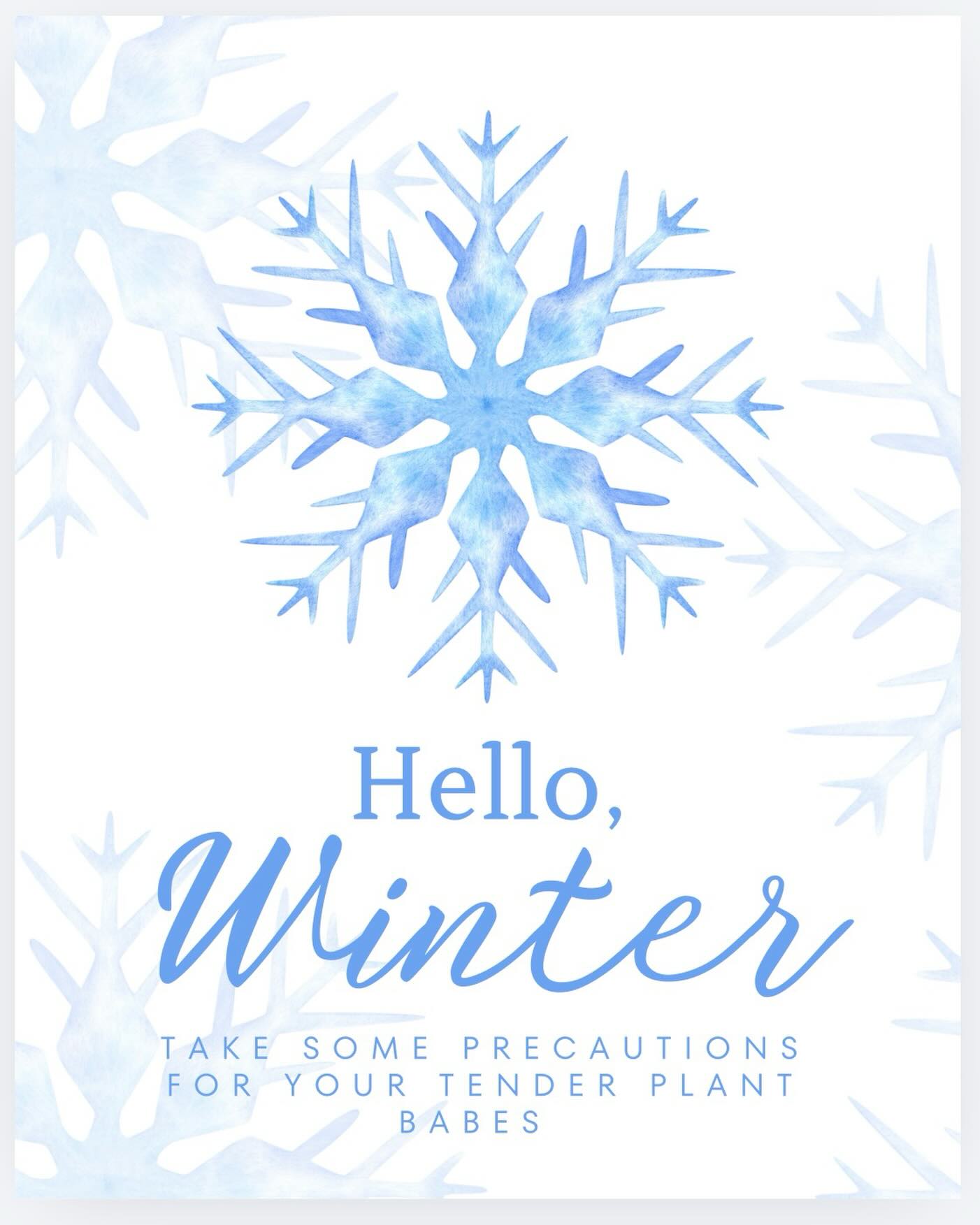Okay so not Winter, but it’s definitely Spring snow time!
Protect what you’ve worked hard to bring to life out there.
• cover tender plants using flexible poles, wire hoops, buckets, chairs, tables
• you can use a tarp, a sheet/pillowcase, plastic sheeting for your “cleverly constructed cover” (ccc)
• shake off the snow as time passes to keep the cover from collapsing onto your plants
• those native plants will be just fine
#urbangardening #wetendtogrow #springsnow