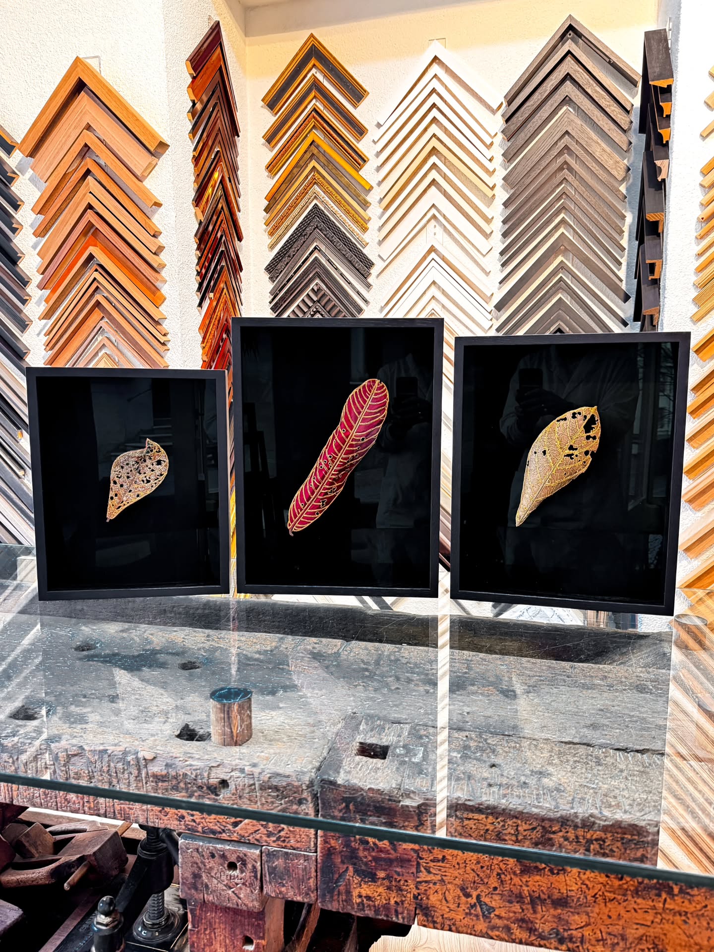 Encadrement de trois feuilles délicatement brodées, pour un résultat tout en finesse et fragilité.
Cadre en chêne teinté noir, fond en tissus noir et verre premium de conservation.
🇬🇧 A frame featuring three delicately embroidered fallen leaves, creating a look that is both delicate and fragile.
Black-stained oak frame, black fabric backing, and premium conservation glass.
#framing #cadre #encadrement #cadresurmesure #frameyourart