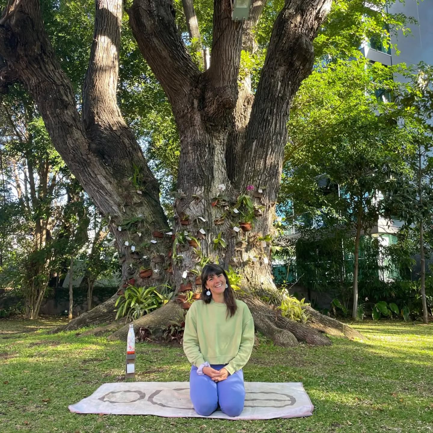 Namastê everyone 🙏
I'm Frederica (Freddie is my profissional name) 🙂
From lawyer to Yoga teacher — my journey began in Lisbon in 2014 when Yoga completely transformed my life. What started as an Ashtanga Vinyasa practice became the courage to leave behind security, travel the world, and follow my true purpose.
Since then, I’ve trained and taught across India, Bali, Sri Lanka, Costa Rica, Cambodia, and Portugal, sharing Yoga in retreats, surf camps, hotels, workshops, and private sessions. I’m certified in Vinyasa, Ashtanga, Yin Yoga, Thai Yoga and Ayurveda Therapeutical Massage.
I live in Madeira Island, where I teach Yoga, offer Thai Yoga Massage and Ayurveda Therapeutical Massage, host retreats, and guide people through powerful transformations — physically, mentally, and emotionally.
Yoga helped me move from anxiety, sadness, and disconnection into gratitude, strength, freedom, and joy. And now, my mission is to help others reconnect with themselves and create a life they truly love.
Send me a message to join my classes and experience my massages ❤️
....
Em português nos comentários 👇⛹️
