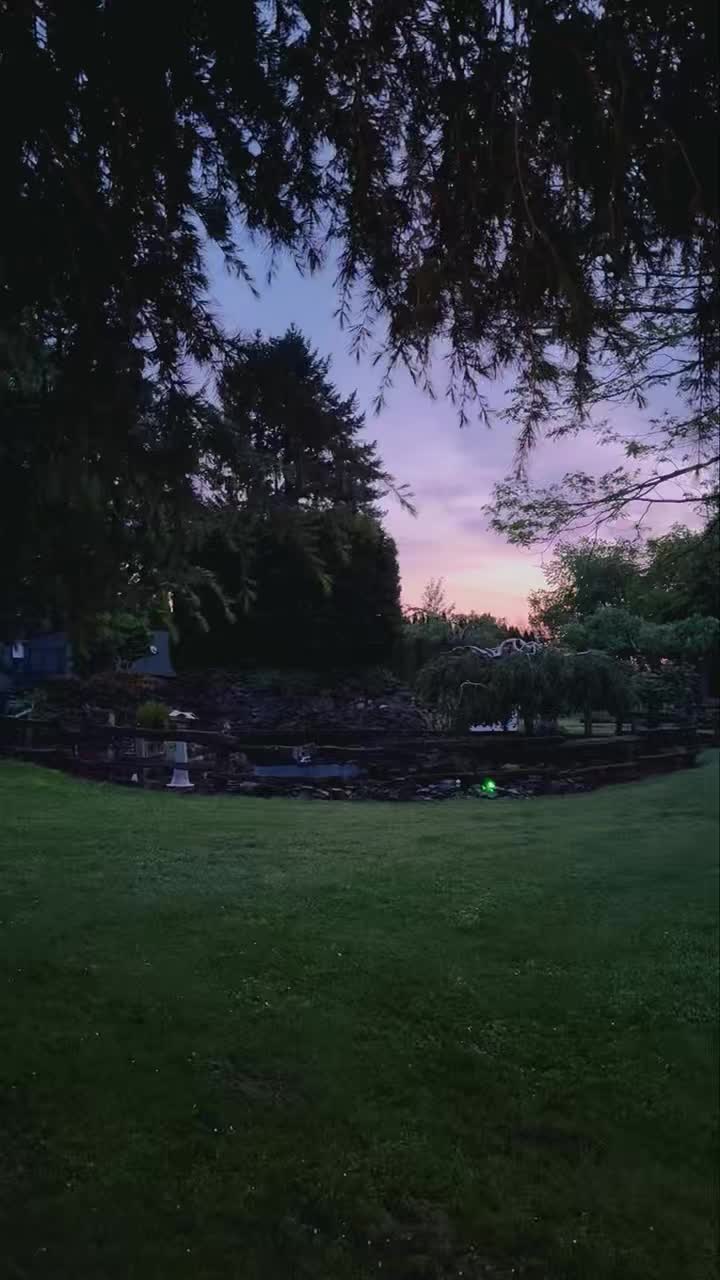 Alright friends, we need your help settling a very important family debate 🐸
We’re out by the pond tonight and the frogs are LOUD… like full concert mode.
So here’s the question:👉 How many frogs do YOU think we’re hearing?!
Matt and I can’t agree!
Drop your guess in the comments ⬇️
#PondLife #FamilyFun #SettleTheDebate #FrogChorus