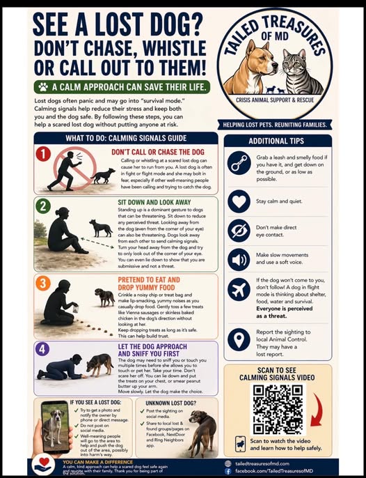 We thought this would be helpful information to share with the community when you are out helping those lost pets. Thank you, @tailed_treasures_of_md_
#lostpet #whattodo #howtohelp #helplostpets #localpets #petsarefamily #helpinglostpets #howtohelplostpets #frederickmdpets #frederickpets #helpingneighbors #caringneighbors