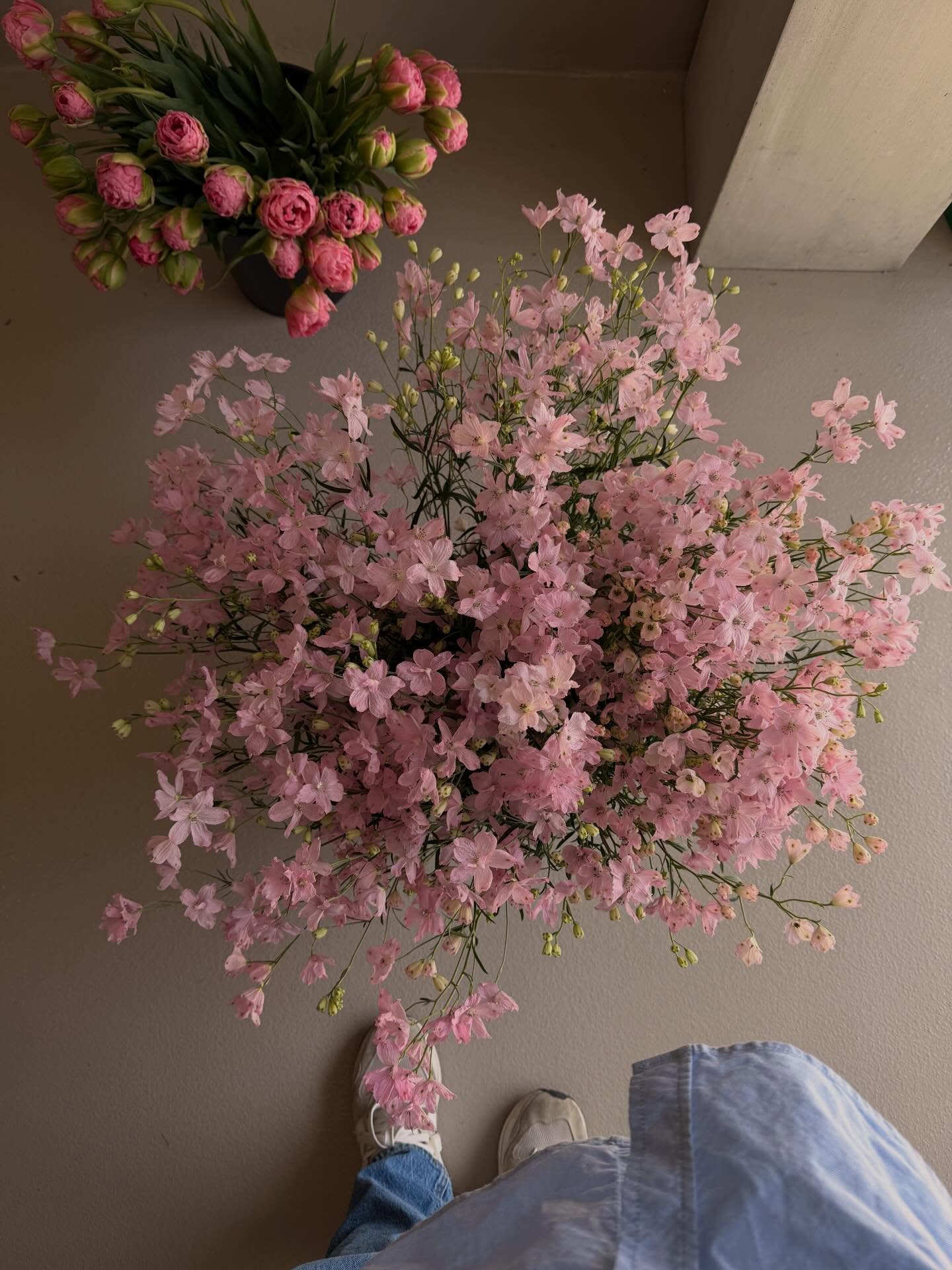 A full week of flowers. a full heart. Grateful for my freelance team and my clients—always. Oh, and this abundant spray delphinium too. 🌸