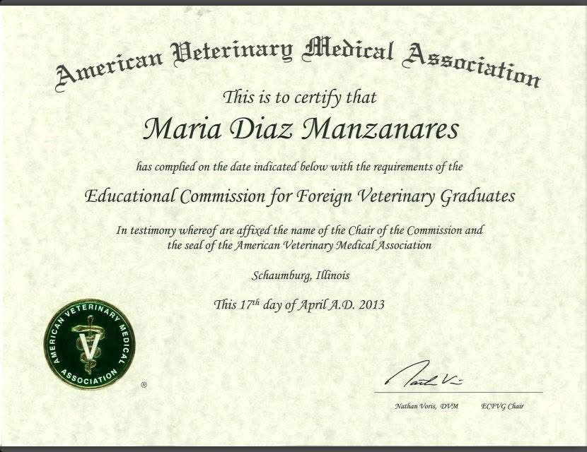 13 years ago.. 18 graduate as a Veterinarian.. time flies! 🙈 #vet #equinevet #gshequinevet #southernhighlands #southernhighlandsvet