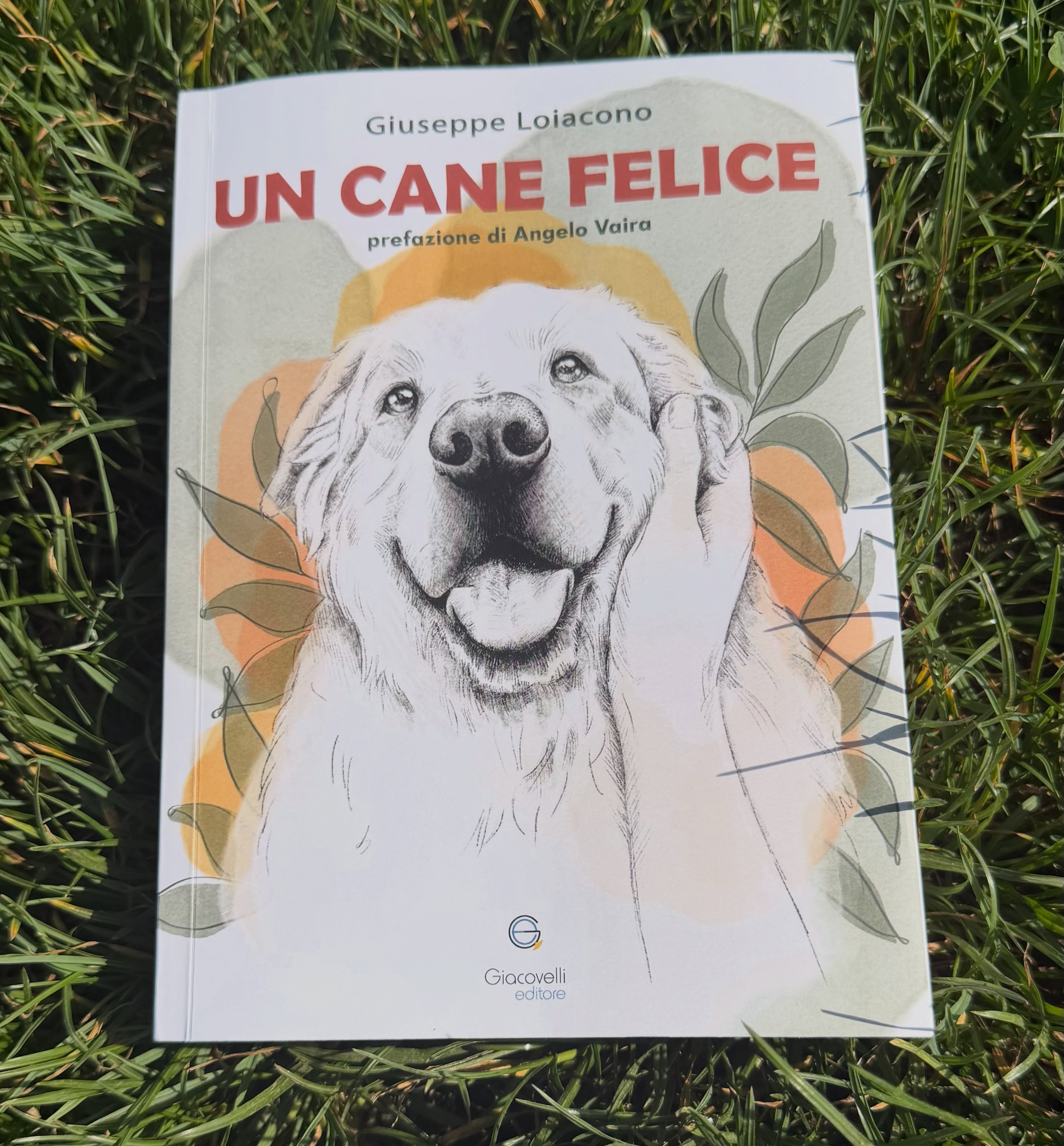 🐾 Un cane non nasce per obbedire, ma per entrare in relazione.
Quando cambiamo lo sguardo con cui lo osserviamo, cambia tutto: il comportamento, la comunicazione, la vita insieme.
📘 “Un cane felice” è un libro che ribalta il modo tradizionale di vedere il cane, riportando al centro la relazione, la comprensione e la consapevolezza.
Con la prefazione di @angelovaira e la splendida postfazione di @alberto_ferrarini_
Illustrazioni di Veronica Verrastro @ve_pastelart
Parte del ricavato sarà per sempre devoluto all’ @associazione_buoncanile_odv che gestisce il parco canile DogsVille di Genova
👉🏼 Per ORDINARLO Link in BIO
👉🏼 Disponibile anche su, @ibs.it , @feltrinelli_librerie @mondadoristore e le principali librerie online.
🏃♂️ Corri in libreria non vedo l’ora che possa essere nelle tue mani!
#uncanefelice #giuseppeloiacono #educazionecinofila #doglover #relazioneumanoanimale