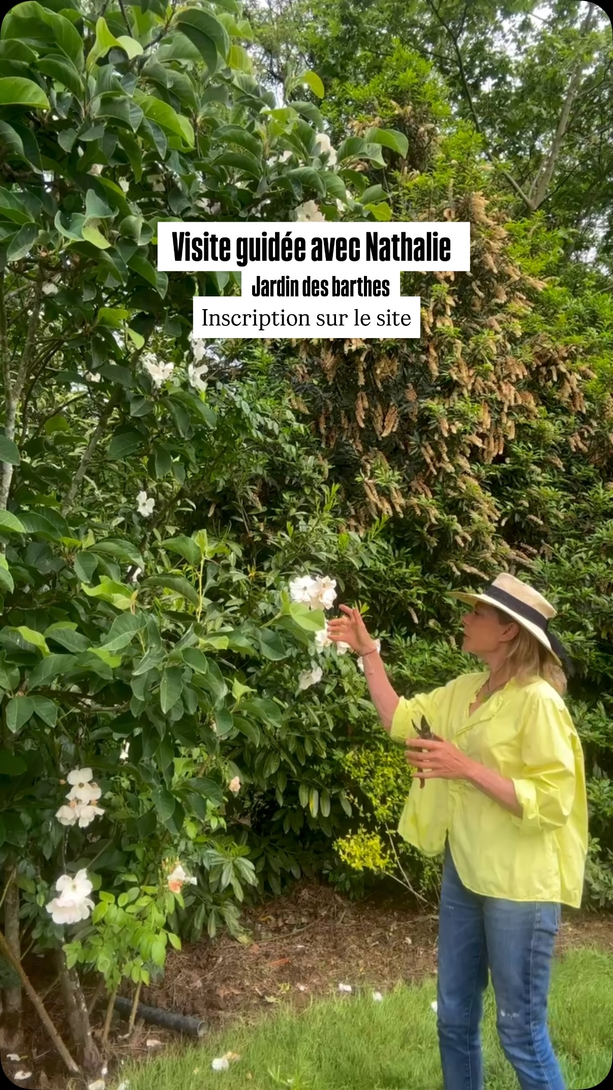 Visite guidée avec Nathalie payens tous les jeudis réservation sur le site
🌱Planter un petit grimpant comme Sally Holmes dans un arbre à floraison de sortie d’hiver comme un magnolia est une astuce qui permet de prolonger les floraisons tout en économisant de la place
Sally Holmes se plaît même à mi ombre remonte tout l’été on lui pardonnera donc son parfum très léger
Jardin des barthes classé remarquable un des plus beaux jardins de France 15mn d’ Hossegor 30mn de Biarritz
#jardinremarquable #jardin #roses #fleurs #landestourisme