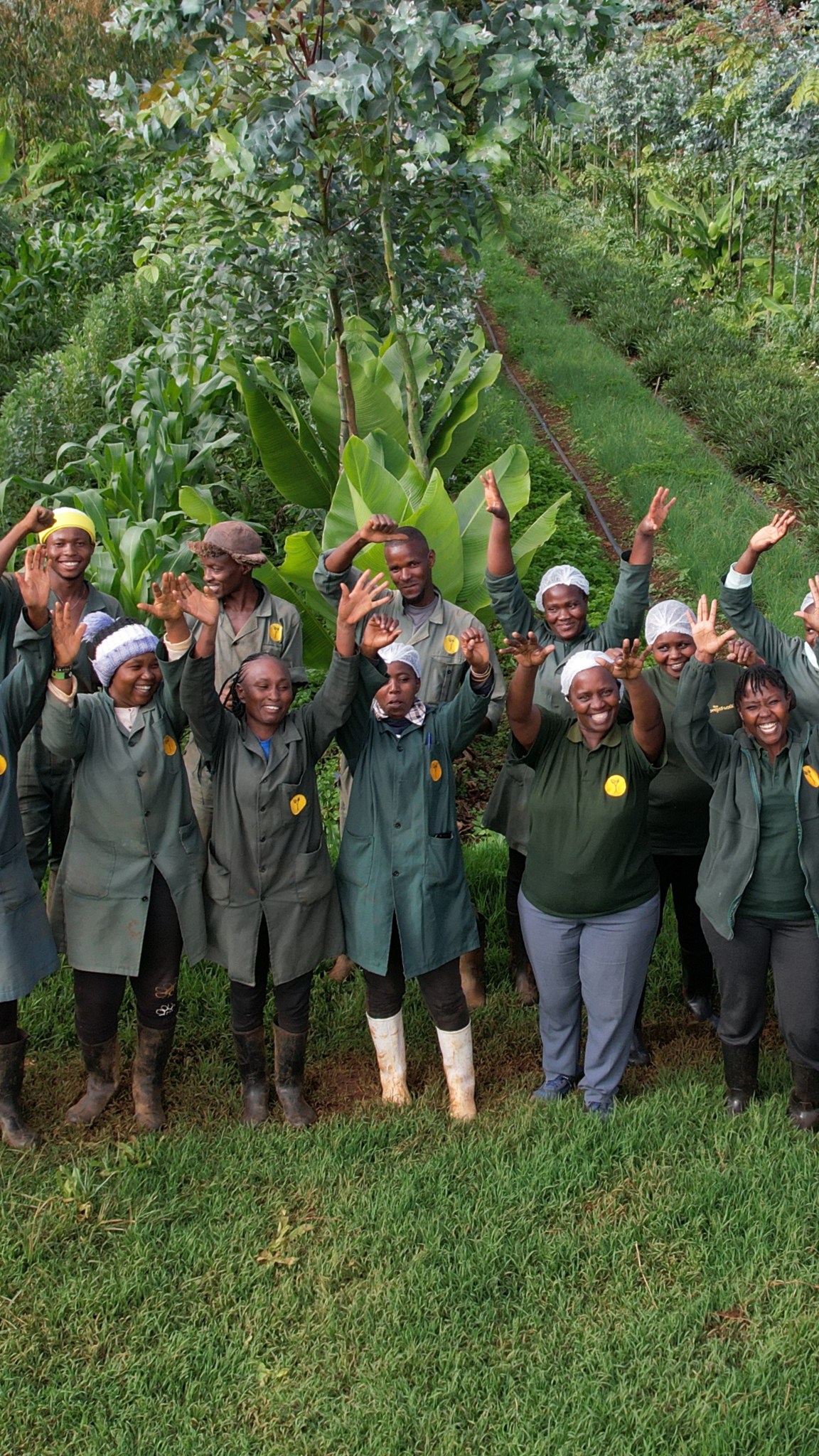 This is ForestFoods now. A real team. Real farms. Real operations. Real systems already working in Kenya.
Before we talk about what comes next, we want to show what already exists — the people, the land, the crops, the systems, and the proof behind the work.
Regenerate Kenya is not starting from zero. It is being built from more than a decade of experience in the field. This is the team building the next chapter.
Follow the journey as ForestFoods prepares to launch Regenerate Kenya.
#ForestFoods #RegenerateKenya #KenyaFarming #RegenerativeAgriculture #Agroforestry #FoodSystems