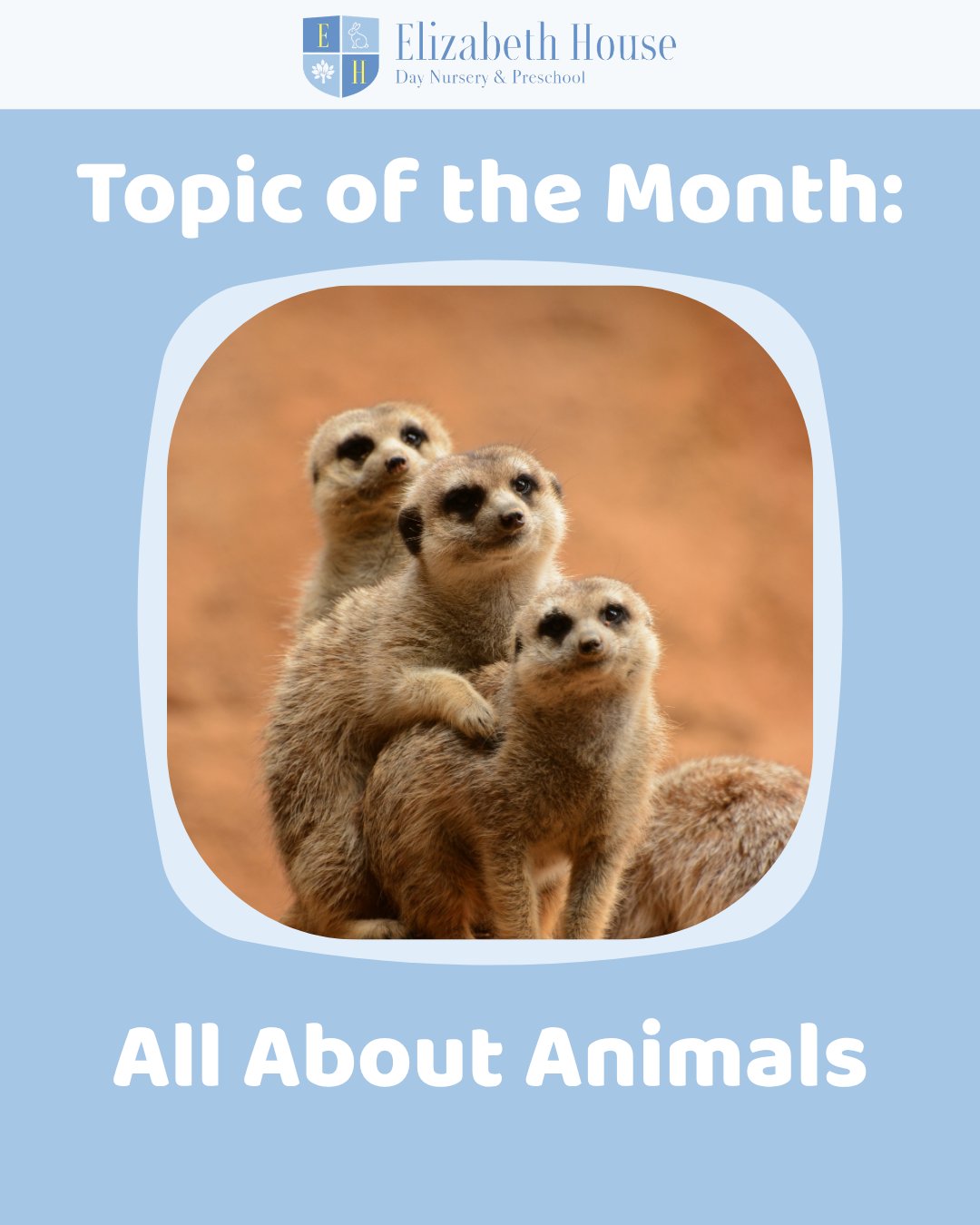 Topic of the Month: All About Animals ๐พ
This month, weโre exploring the wonderful world of animals! From pets and farm animals to creatures in the wild, children will be learning about different habitats, sounds and how animals live.
#preschool #elizabethhousenursery #nursery #earlyyears #eyfs #wallingford #oxfordshire #learningthroughplay