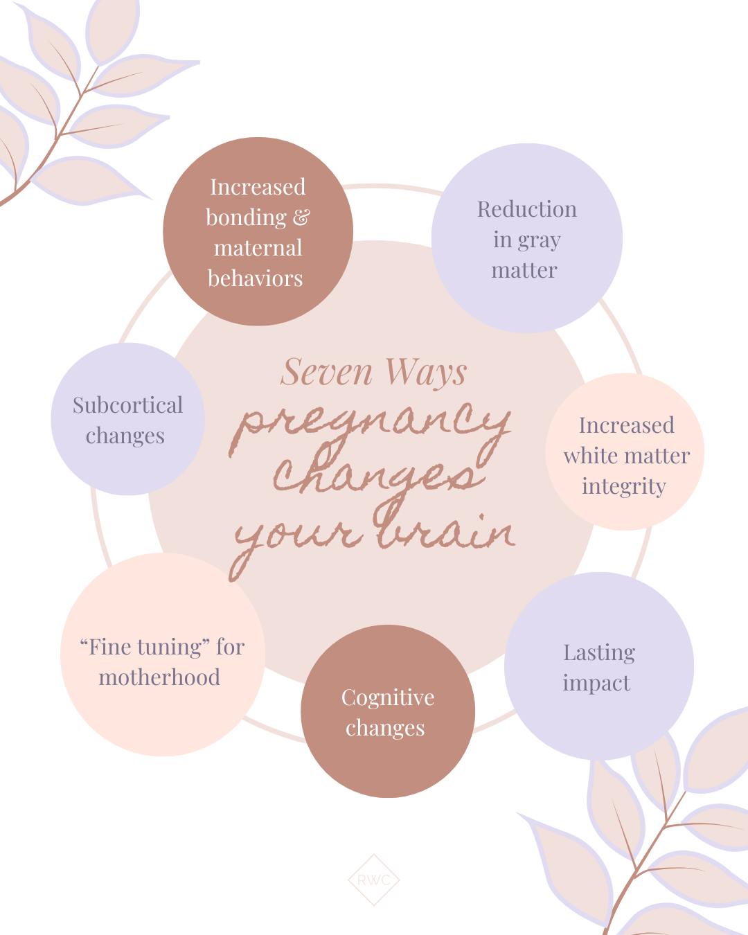 Motherhood changes so much more than your body… it gently reshapes your brain, too 🤍
From pregnancy into postpartum and beyond, your brain is adapting in ways that help you connect, nurture, and respond to your baby. Areas tied to empathy, understanding emotions, and deep connection actually shift and grow, helping you tune in to your little one in ways you never could before.
Those changes don’t just come and go. Research shows that even years later, mothers can have differences in brain structure linked to connection and meaning. It’s one of the many reasons motherhood can feel so all-consuming, emotional, and deeply purposeful all at once.
It’s not “just hormones.”
It’s not “just in your head.”
It’s a real, physical, neurological transformation designed to support both you and your baby.
So if you feel more sensitive, more intuitive, more overwhelmed, or more connected than ever before there’s a reason! Your brain is doing something incredible!
Motherhood isn’t just something you do.
It’s something that changes you forever!
#motherhood #mothersday #risewellness