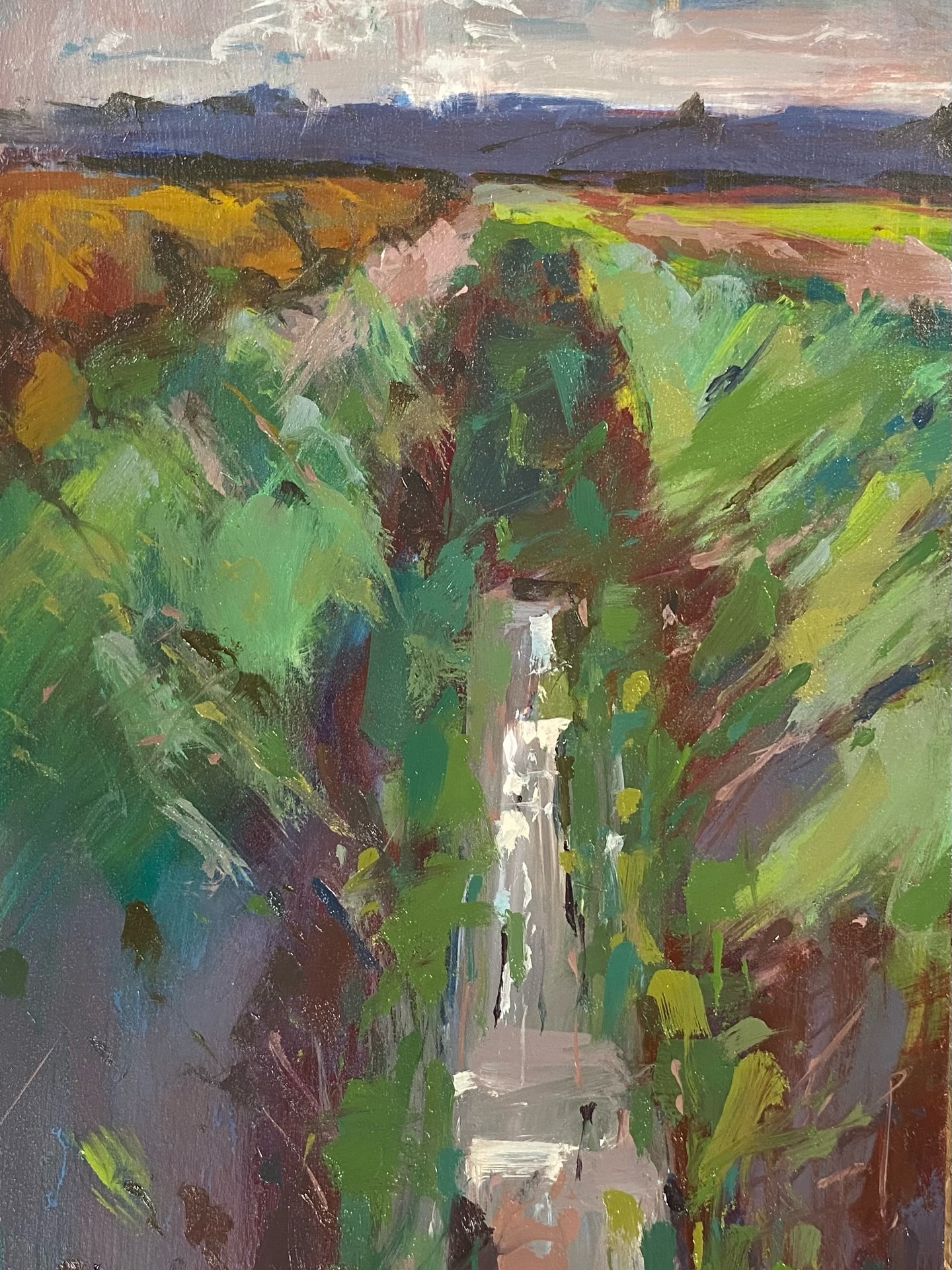 I spotted this ditch this morning with the light reflecting amongst the weeds. It was both strange light and strange colours, a sort of haze of green in the ditch from the water as a reeds new growth appeared with a sort of red.