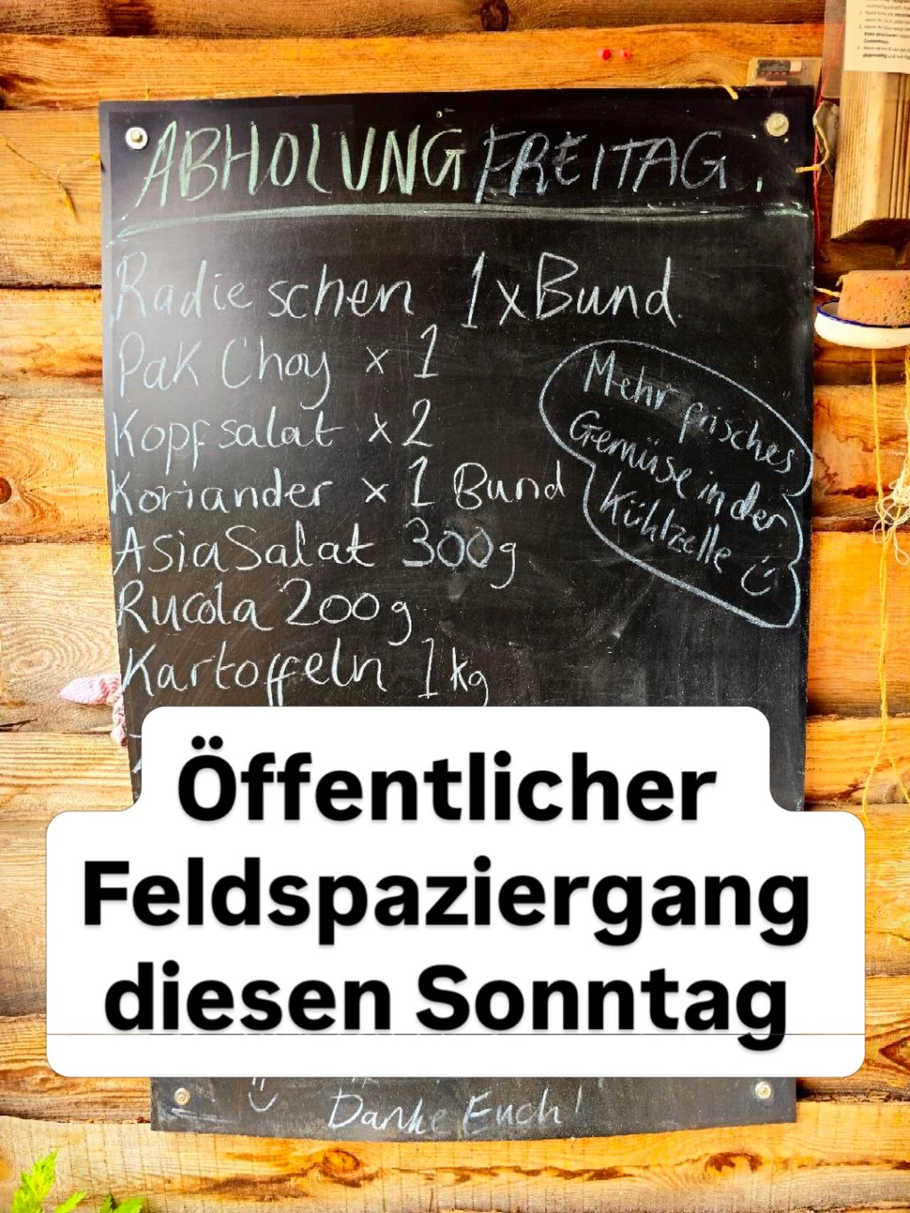 Was haben Rucola, Asiasalat und Koriander gemeinsam? All das und noch viel mehr wächst gerade auf dem FrohLaWi-Feld. Überzeug dich selbst - bei der Führung über unser Feld am Sonntag, 10. Mai, 11 Uhr. Vielleicht wirst auch du Teil unserer solidarischen Landwirtschaft.🧑🌾
Treffpunkt: FrohLaWi-Feld Abholstand, Stolper Feld, Nähe Invalidensiedlung, Anmeldung nicht erforderlich.