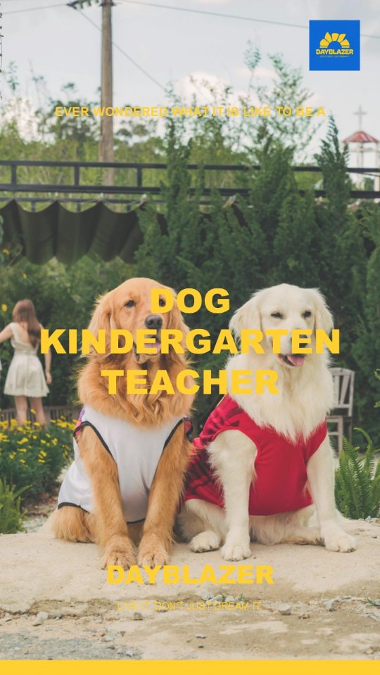 Ever wondered what it is like to be a Dog Kindergarten Teacher? Dayblazer makes it real!
Live It. Don't Just Dream It.
Live Your Dream Job with us at @dayblazersingapore today!
Experience real training session with the puppies and observe how puppies learn essential foundations.
Learn to read canine body language, understand training timing, watch professionals in action!
@dayblazersingapore x @pawsitive_furkids - Coming Soon, stay tuned!
#dayblazersingapore #dogtraining #pets #dogs #singapore