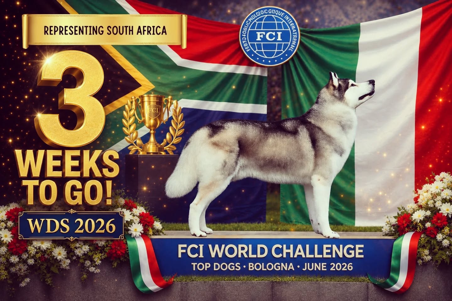 3 weeks to go until we catch our flight to 🇩🇪 and then head to 🇮🇹 for the #wds & #worldchallengeoftopdogs2026
#teamKnox