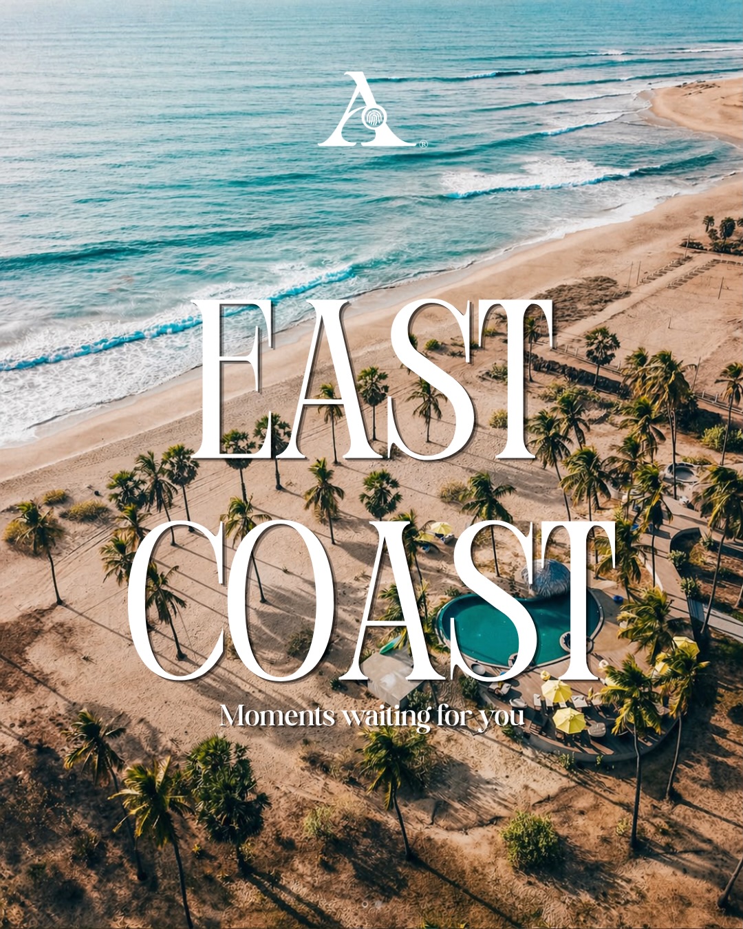 From sacred cliffs in the north to surf breaks in the East, Sri Lanka’s East Coast holds some of the island’s most underrated stretches of coastline.
Most travellers don’t realise the East runs on its own season, and right now is the window.
A few of the spots we love? Quiet. The ones we don’t put on a public map? Even quieter.
If you’re thinking East this year, slide into our DMs. We’ll shape the trip around how you actually like to travel.
#EastCoastSriLanka #SriLanka #VisitSriLanka #acetravelsrilanka #acediaries