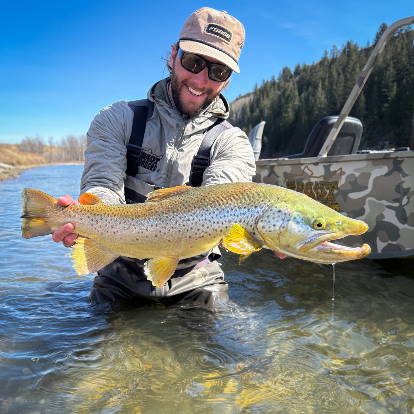 April fun fish days. 👍 #sageflyfish #perfectingperformance #bowriver #scientificanglers