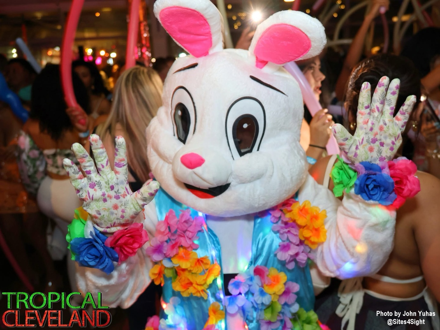 Pics from our Fiesta Primavera are 🔥 hurry up and check them out in our Facebook page and tag your friends…
Pics by @sites4sight
Entertainment by @ritmorobot2020 @el_ramoncito_15
Decor by @juancarloscuellar82 @el_ramoncito_15 @ritmorobot2020