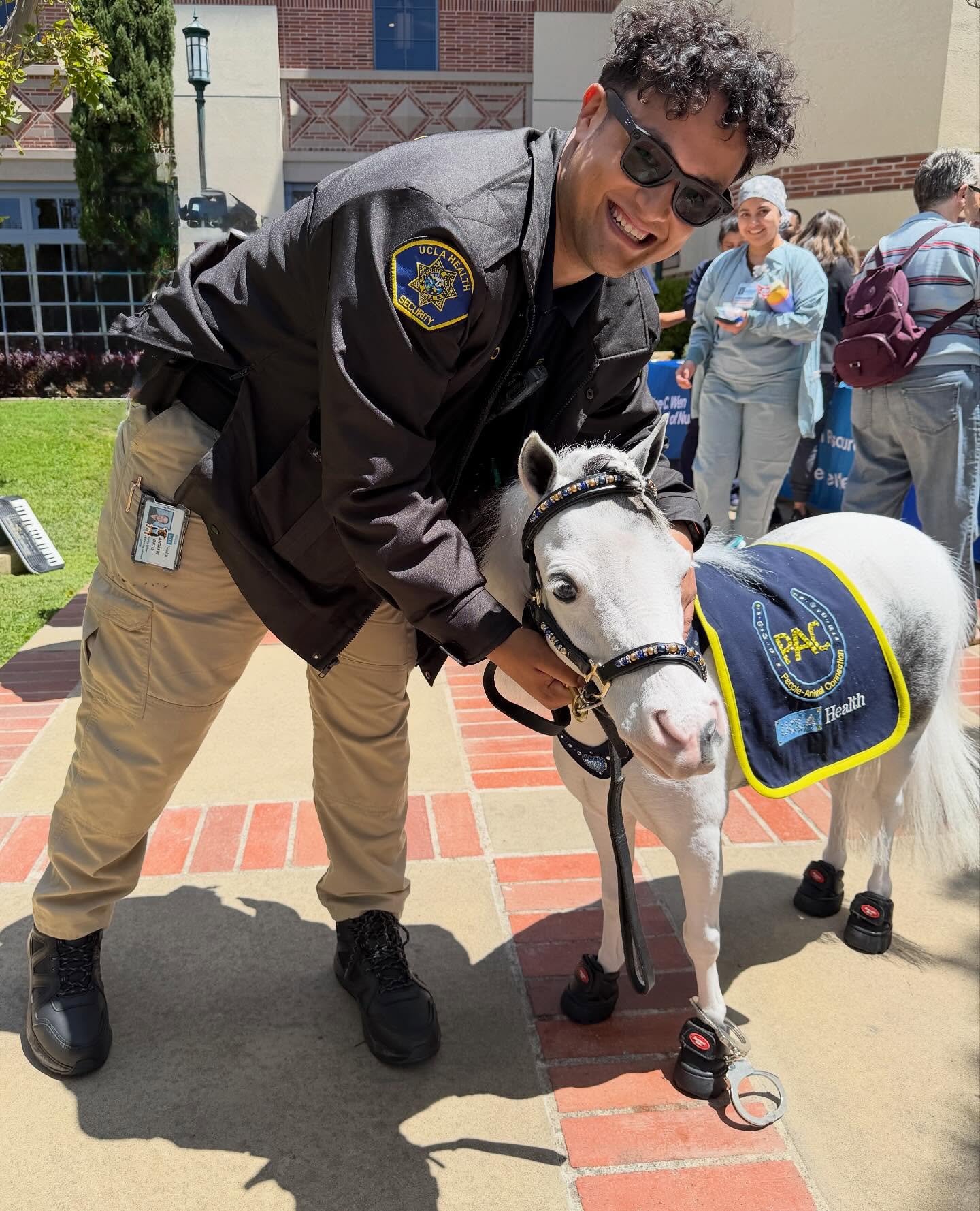 Blue Moon was handcuffed for giving out too many kisses! 💋🦄 UCLA Santa Monica Medical Center had a very busy windy day of visitors with Willow Blue, Blue Moon, Lola the poodle and the new 80+ pound white PAC dog. I want to thank Sherry and Donna for being such dedicated volunteers. I’d be nothing without our teams of volunteers! #horse #minitherapyhorses #horses #hope #happiness @ucla_pac @uclahealth @cedarssinai @shrinerssocal @equusfoundation @lafd @lasd_lhs @platinumperformance @easycareinc @equinebalancedsupport