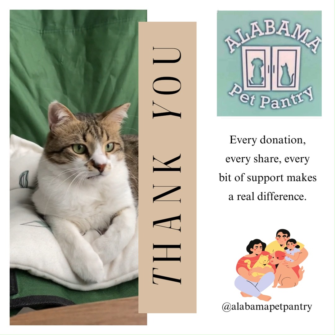 💙 Thank You Post
Because of you… bowls have been filled, tails have kept wagging, and families have stayed together. 🐾
Over the past weeks, we’ve been able to distribute a tremendous amount of pet food to families who needed a helping hand—and that only happens because of your generosity.
Every donation, every share, every bit of support makes a real difference.
From all of us—and the pets we serve—thank you for showing up with compassion and care.
If you’d like to continue making an impact, you can give anytime at:
👉 www.alabamapetpantry.com
#ThankYou #CommunitySupport #PetPantry #Gratitude
