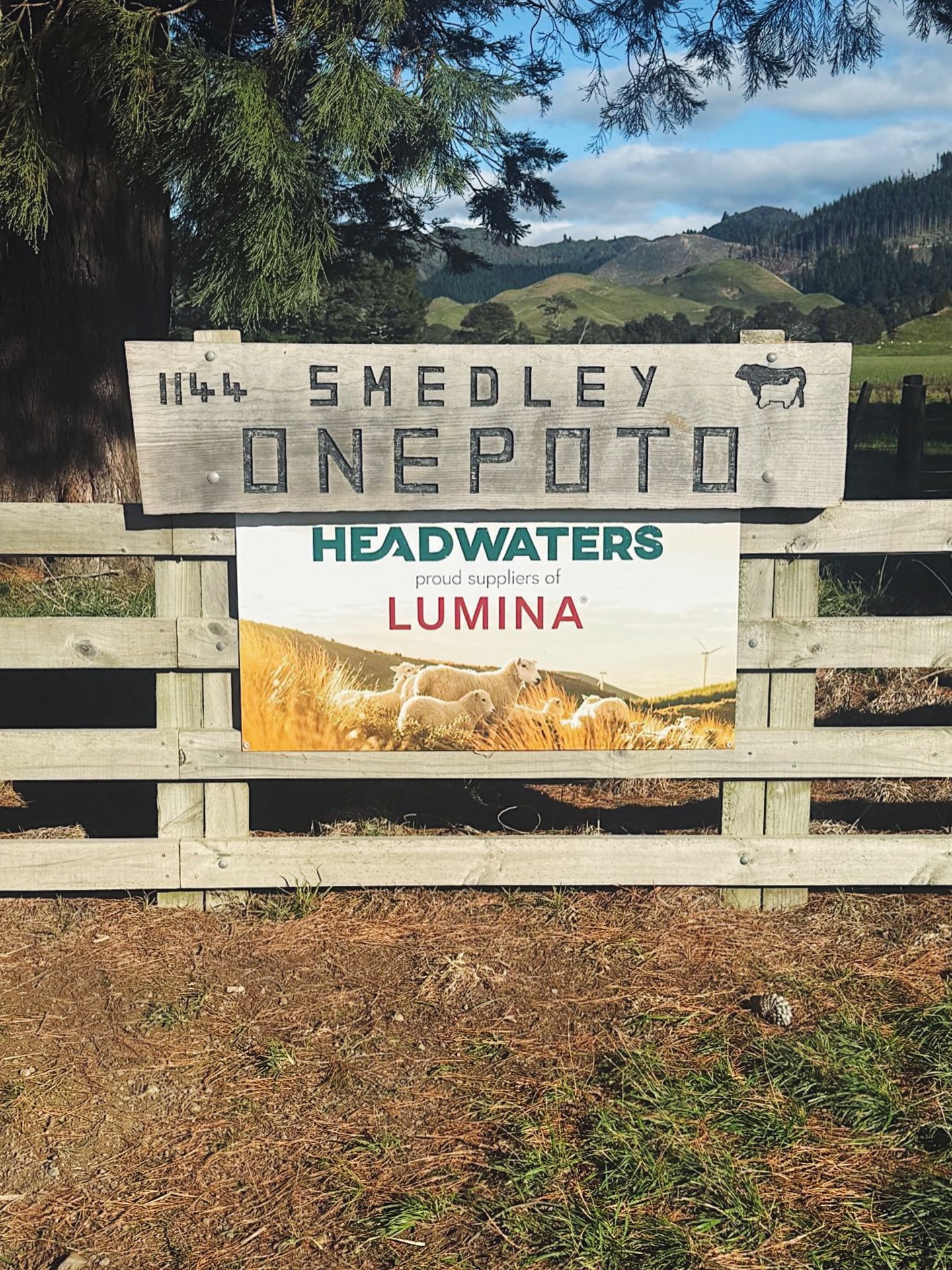 Another farm sign off to a good home 🙌🏼🪧
Proud to have @smedleystation running the Headwaters breed and supplying @lumina.farms
