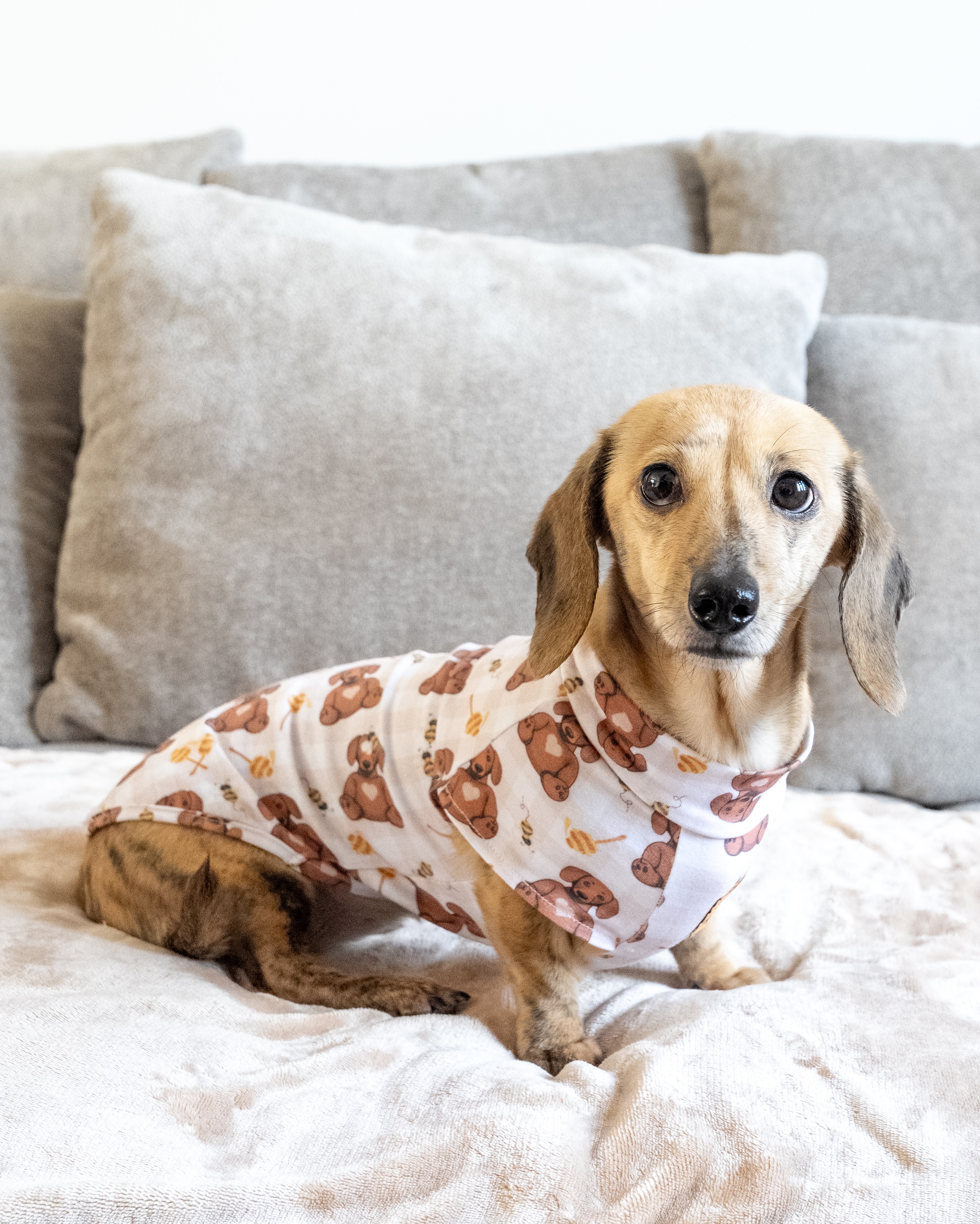 It definitely feels like a Doxie-dream PJ kind of day today 🌙
That slightly chilly weather where you just want to stay cosy, keep the kettle on, and live in your PJs all day ☁️
Our PJs are currently available in our super cute Honey Bear print 🐻
They’re lightweight, soft, stretchy, and designed to take the chill off without feeling heavy or too warm.
So tell us… are you still wrapped up in your PJs today? 👀
And what other prints or designs would you love to see next? 🤎
#doxiedream #dachshundpjs #cutepup #pjday #sausagedogbox