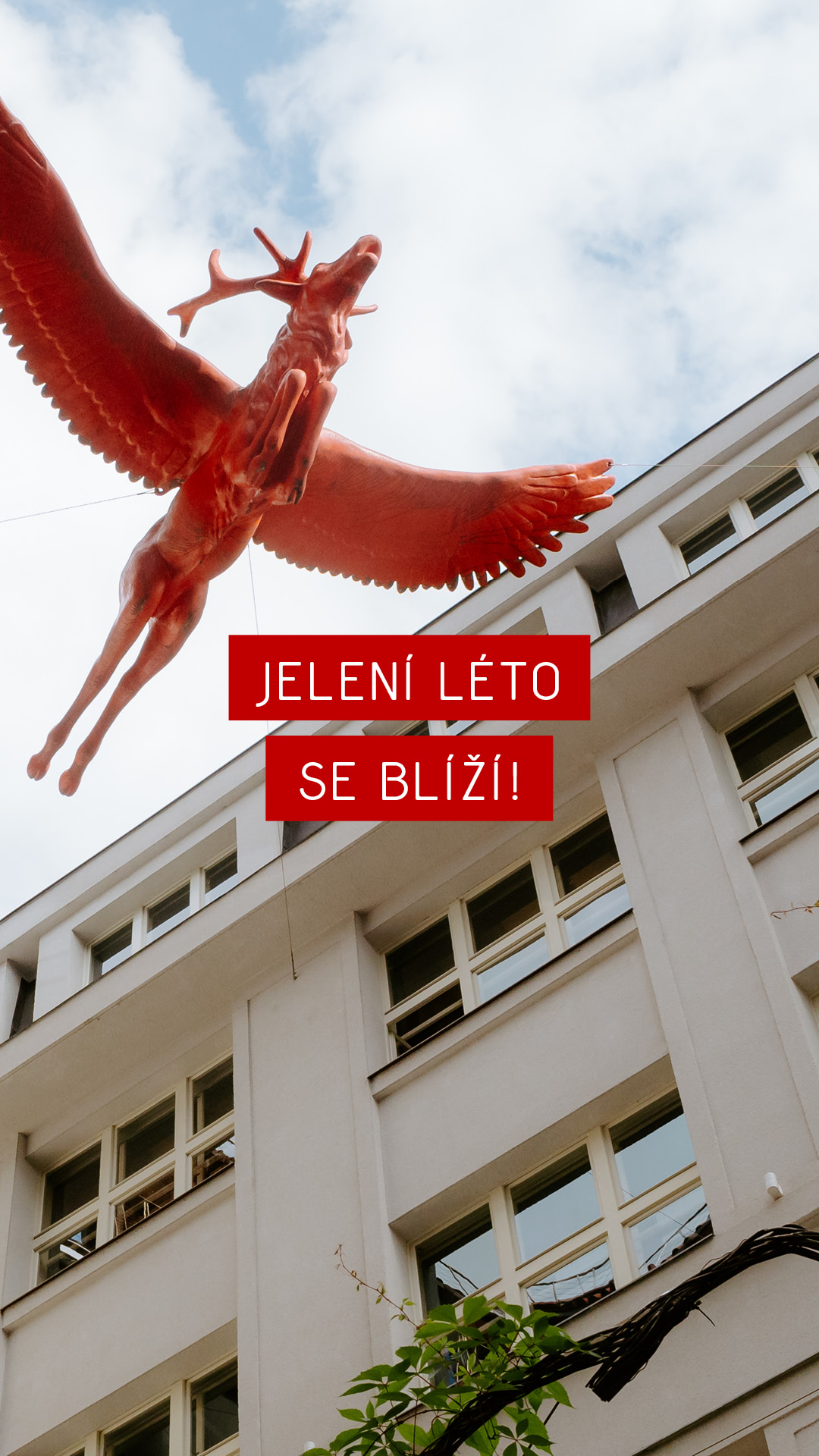 Jelení léto - malý festival, velké zážitky.
Loni jsme si to zkusili – a byla z toho série večerů, na které se jen tak nezapomíná. Drinky, hudba, letní vibe a zahrádka plná lidí, co si to přišli užít.
A letos jedeme znovu!
Než se to naplno rozjede, pojďme si připomenout, jak to vypadalo minulý rok. Rozhodně se opět máte na co těšit. 🍸🎶
#cervenyjelen