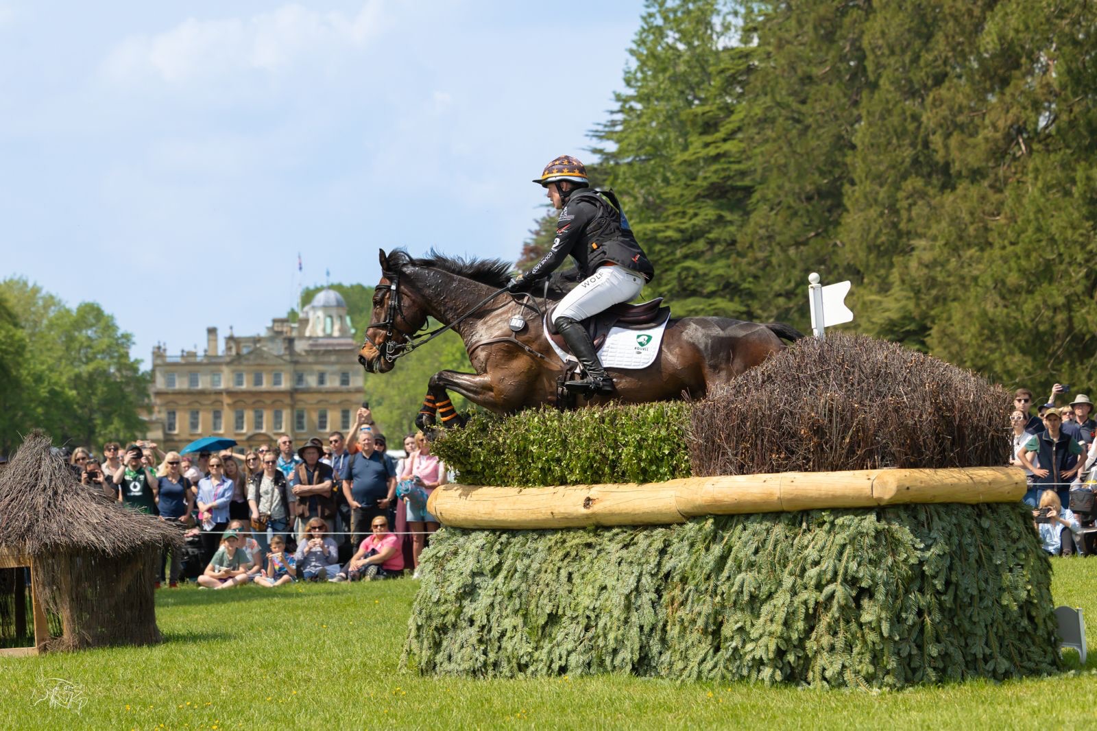 Performance, precision, and nerves of steel! 🔥💪
Wolf London Brand Ambassador @tom_bird_eventing_ delivered a fantastic cross-country round today at @bhorsetrials, tackling a tough track in style wearing our popular Men’s White Omega Competition Breeches… now nearly sold out!!
Best of luck tomorrow for the final phase Tom — we’ll be cheering you on! 🐺
📸: @kirsty_pasto
#WolfLondon #WolfEquestrian #BadmintonHorseTrials #JoinThePack #EventingLife