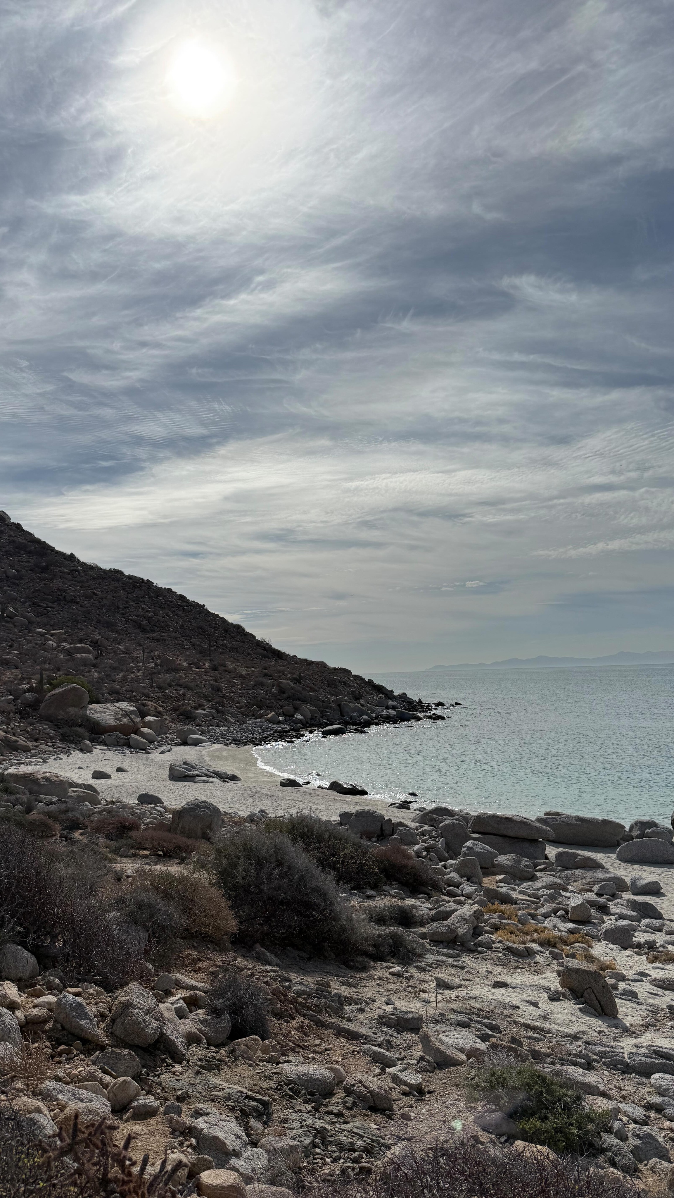 Apreciando un rinconcito de la isla Espíritu Santo.
Acompáñanos a conocer la magia que hay en este lugar desde sus senderos.
#hike #lapazbcs #islaespiritusanto