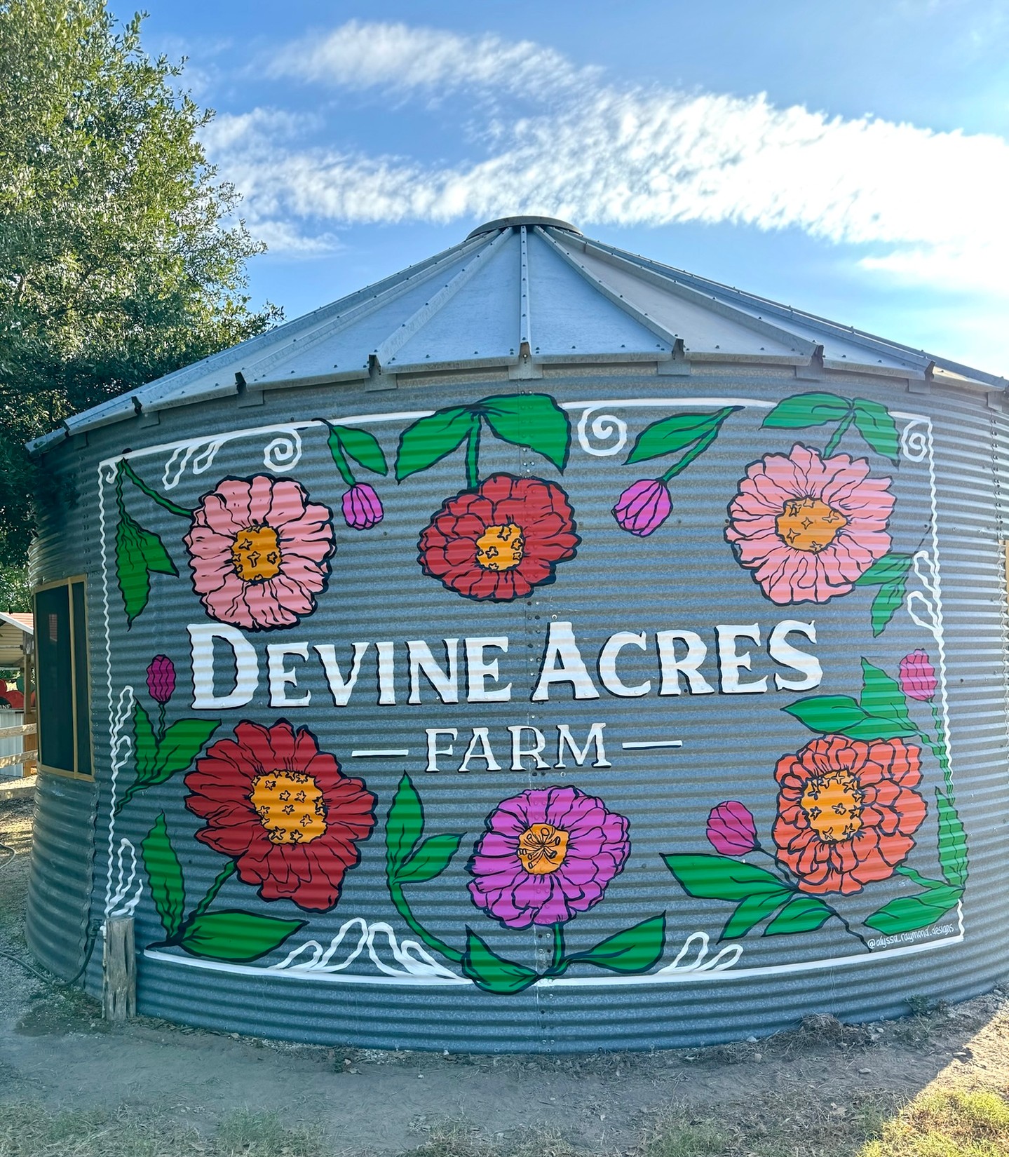 May 12th is Spring Homeschool Day, just one week away!! Join us at Devine Acres Farm for our day of learning and play from 10am-2pm. We will have educational rotations from 10am-12pm: life cycle of chicken and baby chicks🐣, hayride 🚜, barnyard visit 🐮, music session 🎶, followed by lunch 🥪, and an afternoon of play on our playground and GIANT jumping pillow 🤸♂️ which will remain open until the end of day at 2pm! Here is what you need to know ⤵️
📆 May 12th / 10am-2pm / Ticket window opens at 9
🎟️ Tickets sold at gate only / Ticked admission required for aged 3 & above / $12 per ticket
🥪 Bring your own lunch OR purchase sandwich and chip combos for $10 on site (options on website)
🥤 Drinks and shaved ice available for additional purchase
📍 Devine Acres Farm / Devine, TX
See our website for additional information and details: devineacresfarm.com/field-trips