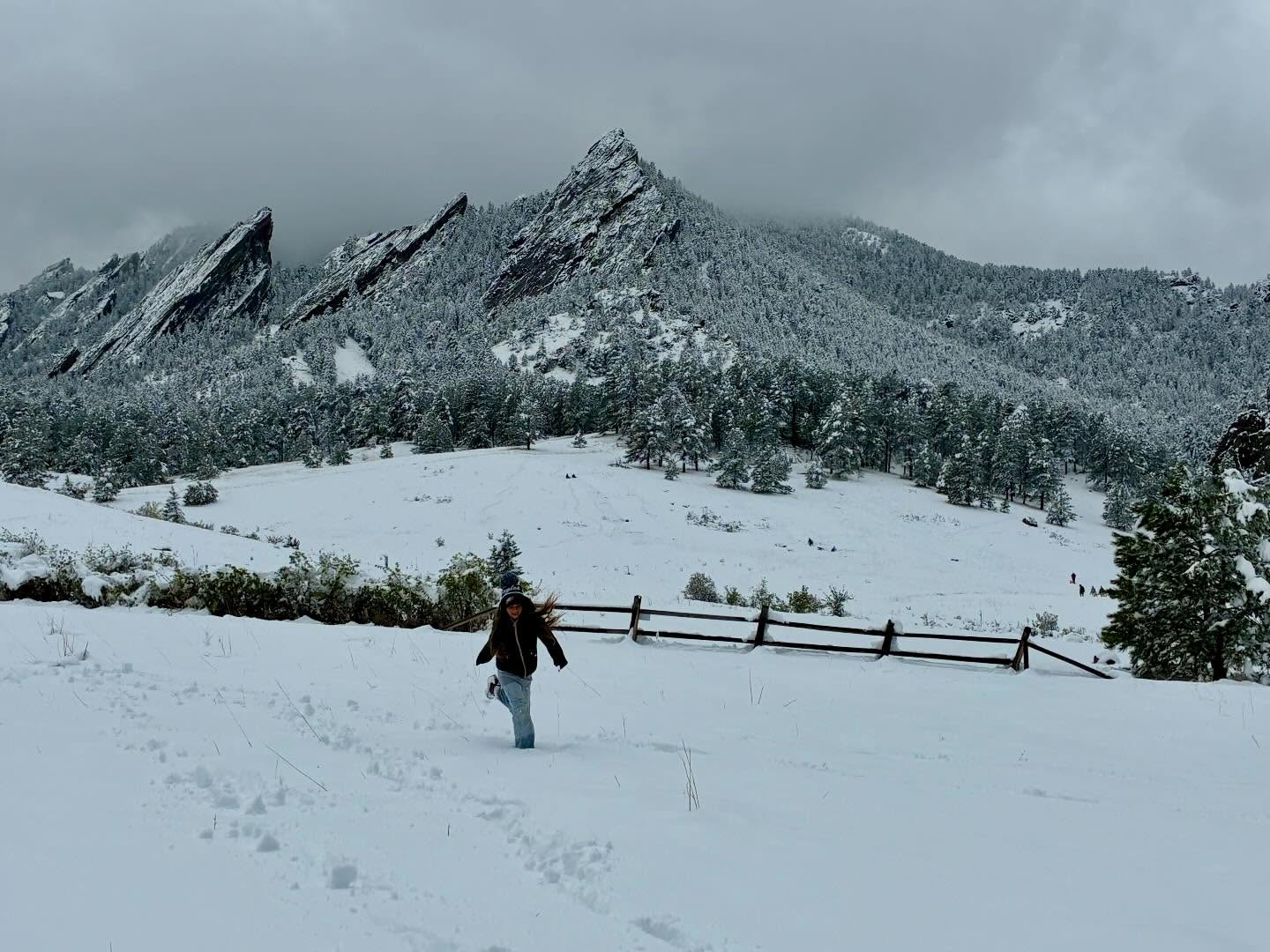 Snow day mid May #boulder #colorado #snowday