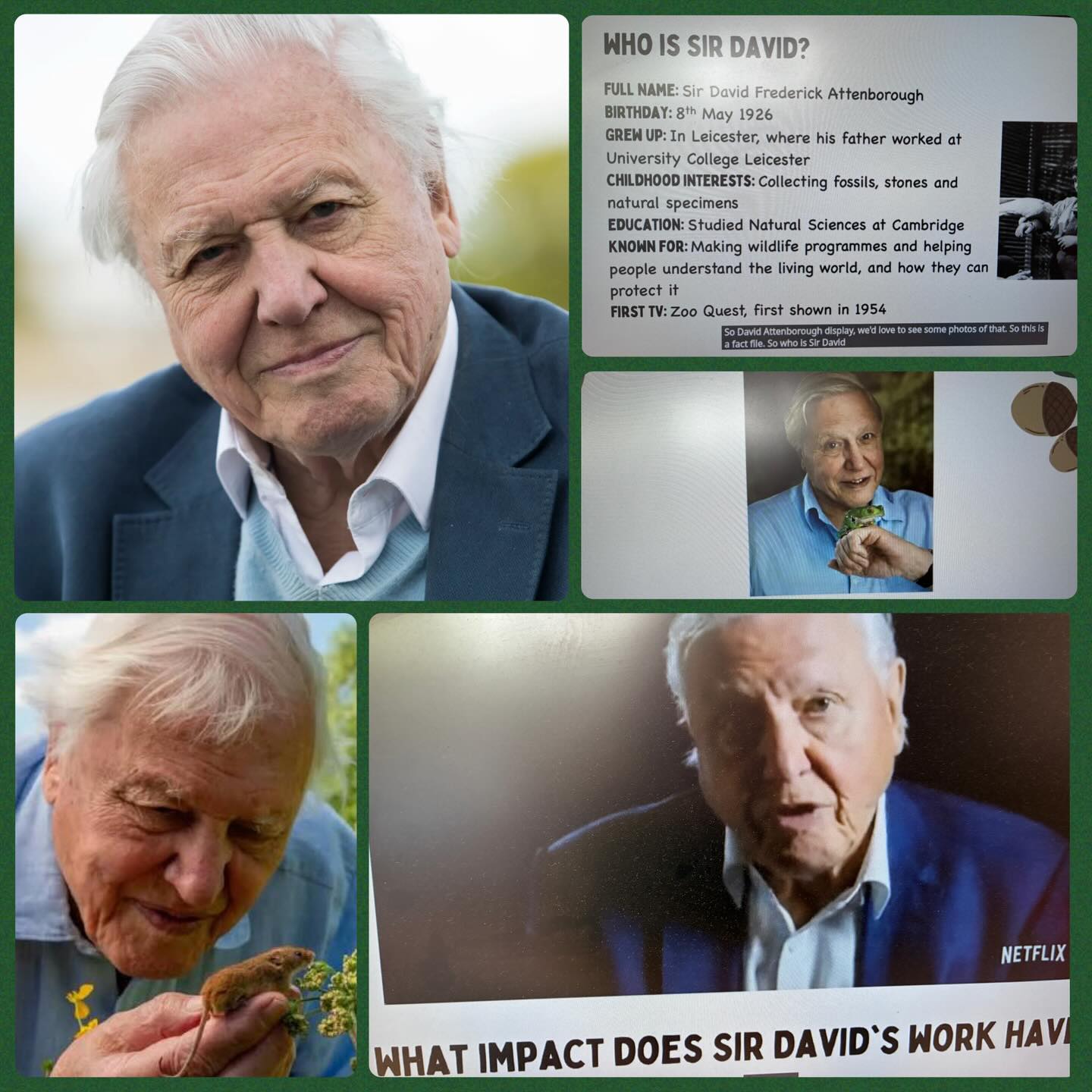 Today our whole school joined thousands of children across the country in a very special online assembly with David Attenborough and Picture News to celebrate his 100th birthday! ππ
We learnt about his incredible life, his passion for protecting our planet and the huge impact he has had β and continues to have β on the natural world. From inspiring generations to care for wildlife to helping us understand the importance of looking after Earth, his message is more important than ever. π¦π±π
Thank you, Sir David, for inspiring us to explore, protect and appreciate the world around us. π
#DavidAttenborough #Attenborough100 #PictureNews #MWCPCARE #MWCPScience @picturenewsprimary