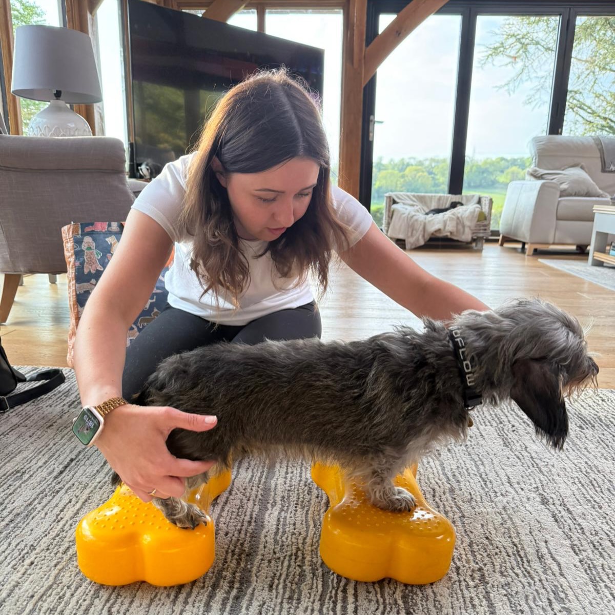 Great session with these two lovely ladies this week 🐾
Olive has been working on her core strength and stability to manage back comfort and patella luxation. This week she progressed to some lovely square stands on unstable surfaces. Well done Olive 💪
Lovely Ethel was enjoying her spa day to maintain her mobility and comfort in her golden years. She enjoyed it so much this week she fell asleep during her PEMFT treatment 😴
Think your dog could benefit from physiotherapy care? Pop us a message today! 🐾