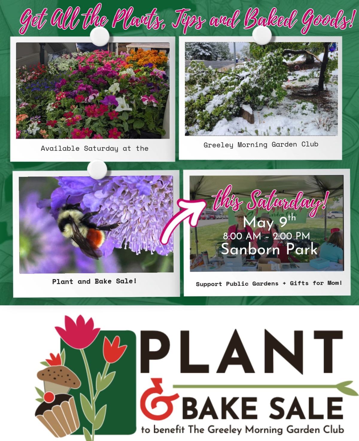 💐 Greeley Garden Club Plant and Bake Sale is Tomorrow! 🌸
Come shop perennials, annuals, vegetables, baked goods, locally made gifts, and new this year... our very first native plant table!
📅 Saturday, May 9
⏰ 8 AM – 2 PM
📍 Sanborn Park
