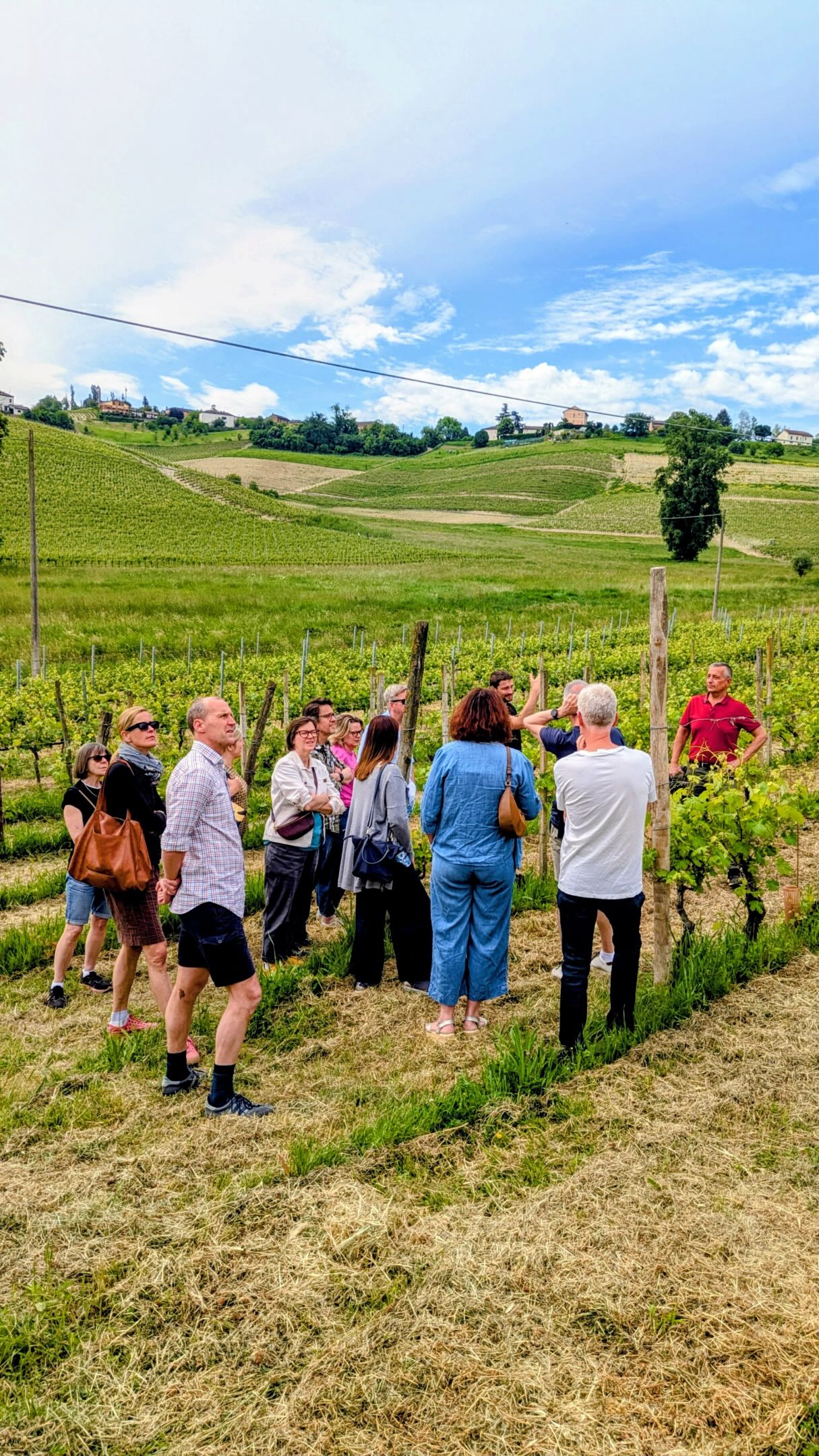 A group of 12 friends, an anniversary to celebrate, and an afternoon that turned into something really special.
An experience of walking the vines, tasting our wines and sharing stories and laughter. These are the moments and memories we love to create with wine - bringing people together.
Grazie for choosing to spend it with us 🤍
.
.
#italianwine #piemonte #winetasting #piemontewine #vineyardexperience