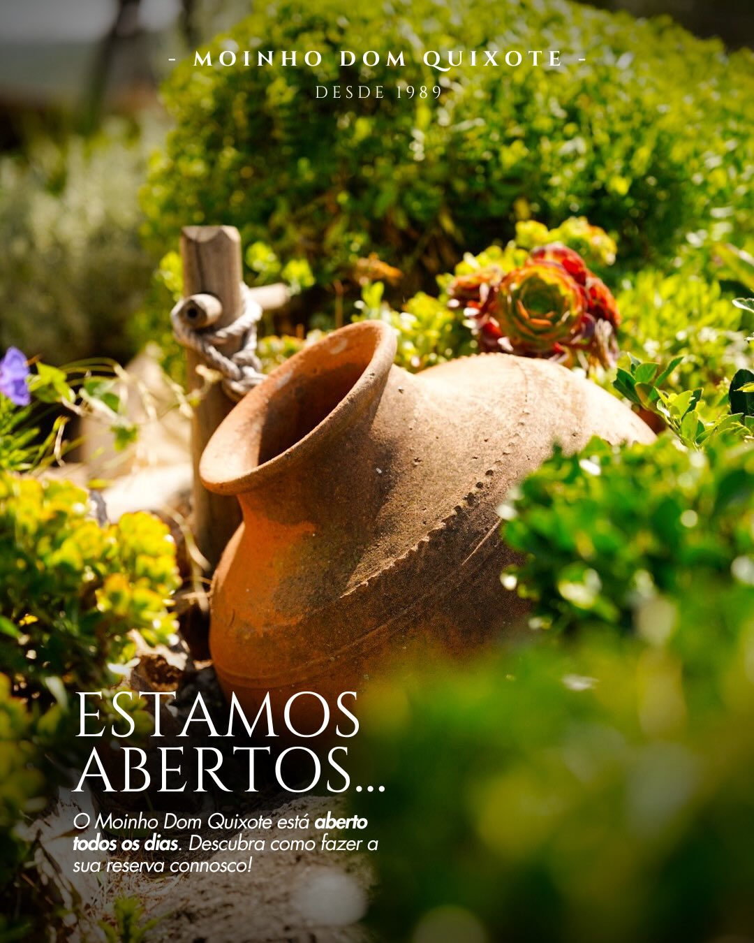 Neste Dia do Trabalhador, o convite é simples: abrandar, aproveitar e brindar aos pequenos prazeres ✨
O Moinho Dom Quixote está aberto todos os dias, pronto para o receber com vista, sabores e bons momentos.
Para garantir o seu lugar, recomendamos a reserva através da nossa página dedicada no site, onde pode também consultar todas as informações sobre o funcionamento das reservas.
Está a planear algo especial?
Também aceitamos pedidos para pequenos eventos, basta indicar os detalhes no formulário e a nossa equipa entra em contacto.
Aproveite o feriado como deve ser, nós tratamos do resto! 😉
________________
This Labour Day, the plan is simple: slow down, enjoy, and celebrate the little pleasures ✨
Moinho Dom Quixote is open every day, ready to welcome you with great views, flavours, and unforgettable moments.
To secure your table, we recommend booking through our website, where you can also find all the details about how reservations work.
Planning something special?
We also welcome requests for small events, just leave your details in the booking form and our team will get back to you.
Make the most of your day off. We’ll take care of the rest!😉
#moinhodomquixote #moinholovers #labourday #sintra #cabodaroca