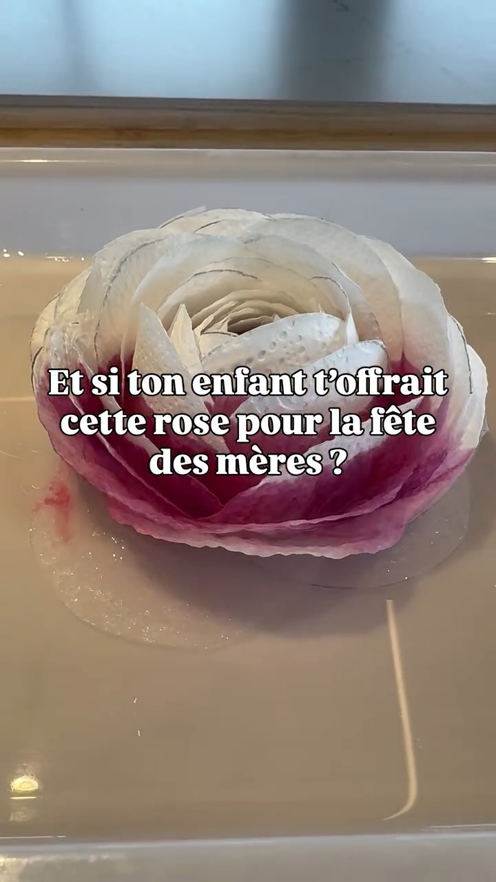 Et si ton enfant t’offrait cette rose pour la fête des mères ? 🌹
Du sopalin. Un verre. Deux feutres. Un peu d’eau.
C’est vraiment tout ce qu’il faut.
En quelques minutes, ses petites mains créent quelque chose d’unique : pour toi.
Sans écran, sans matériel compliqué.
Juste lui et sa créativité. 🌿
Les plus beaux cadeaux ne viennent pas d’un magasin.
Tu le sais. 🤎
C’est pour ça que j’ai créé la Méthode 0 Écran, pour que ces moments-là deviennent votre quotidien.
Sauvegarde avant le 25 mai 🌹 tu en auras besoin.
La Méthode 0 Écran t’attend en bio. 🌿
#fetedesmeres #maman #enfant #cadeaufaitmaison #parentalitebienveillante