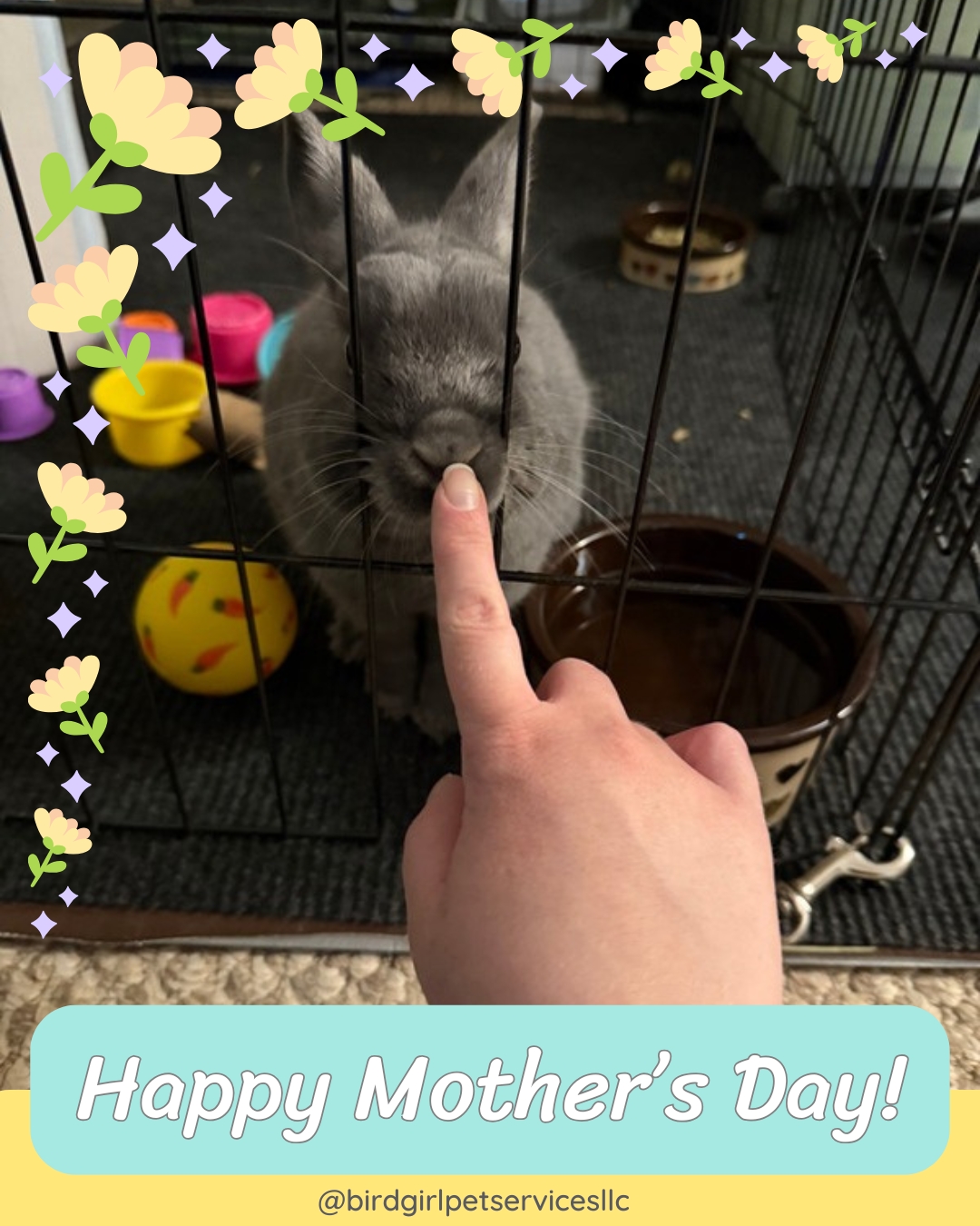 Mother's Day tends to be framed around human families. But anyone who has loved and cared for a pet understands the pull.
I see it every time someone hands off their pet before a trip. The hesitation. The last round of instructions. The look back before they walk out the door. That's what it's like to leave a member of their family in someone else's hands.
To the pet parents in this community who show up for their animals every single day, today is yours too.
#BirdGirlPetServices #MothersDay #PetParents #ExoticPetCare #LongIslandPets