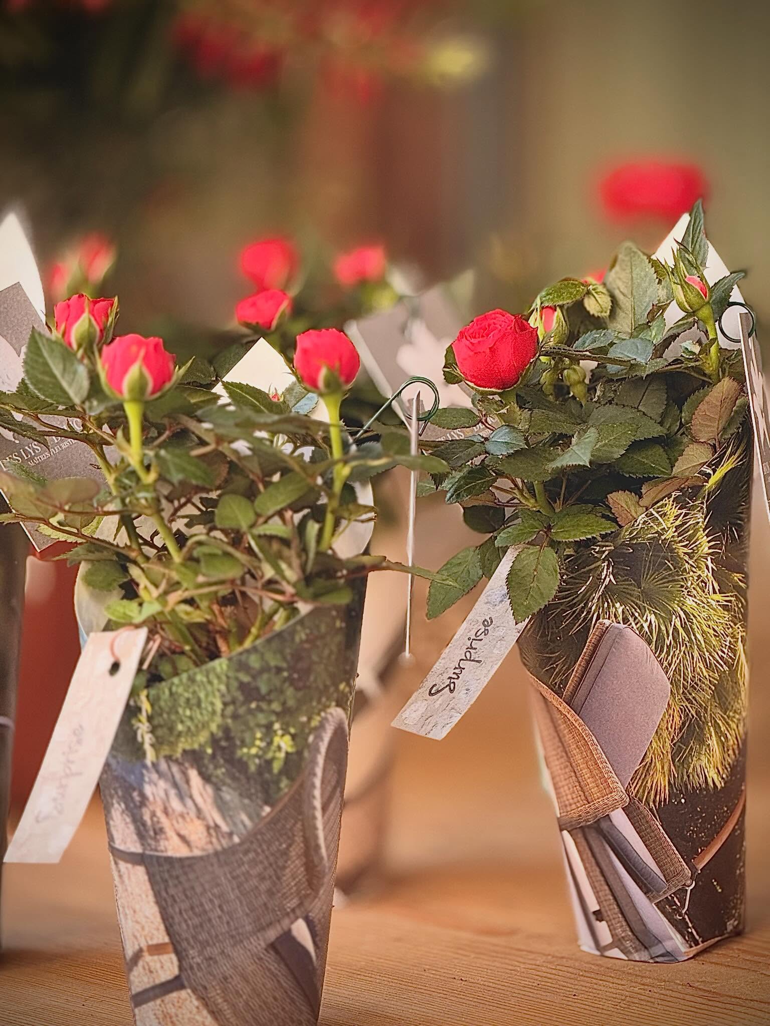 Dimanche 10 mai ce sera la fête de toutes les mamans!
Pour vos bouquets de fleurs et messages floraux, vous pouvez dès à présent vous rendre sur notre site:
Fleursion.ch
Pensez également à notre service click & collect pour réserver en avance via bouquets, vous pourrez les récupérer devant notre boutique dans l’espace dédié, sans avoir à faire la file.
À votre service pour fleurir vos mamans depuis 2004
Des Lys & Délices
Place du Midi 37
1950 Sion
+41273220822
info@fleursion.ch
https://www.fleursion.ch
Découvre nos comptes Instagram:
-Wedding @deslysetdelices_wedding
-Boutique @deslysetdelices_boutique
Photo : @etienne_staub
#deslysetdelices #fleursion #fleurs #fetedesmeres❤️ #fleuriste