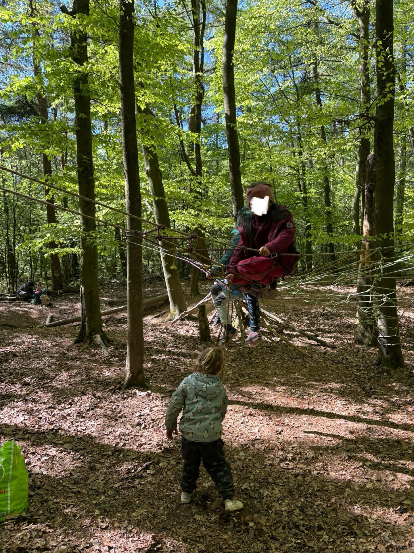 Im Wald wird auf „Spinnennetzten“ gekrabbelt und unser Wichtel hat eine neue Traumvilla gebaut bekommen ☀️