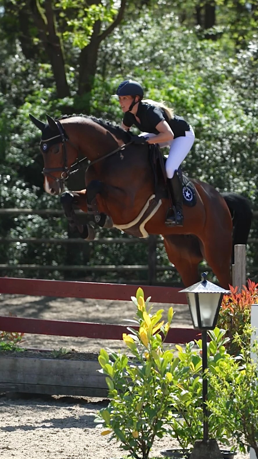 She’s so darn cool…! Sarabi keeps impressing us and jumped the big track in this video like it was nothing. She’s a real sharp, smart, careful, modern show jumper; this girl has a lot of talent to be a very, very competitive one moving forward. 1.30 level with loads of scope to do the big classes in the future. 16.2h 8yo mare x Casino Grande. A real 🚀 🚀