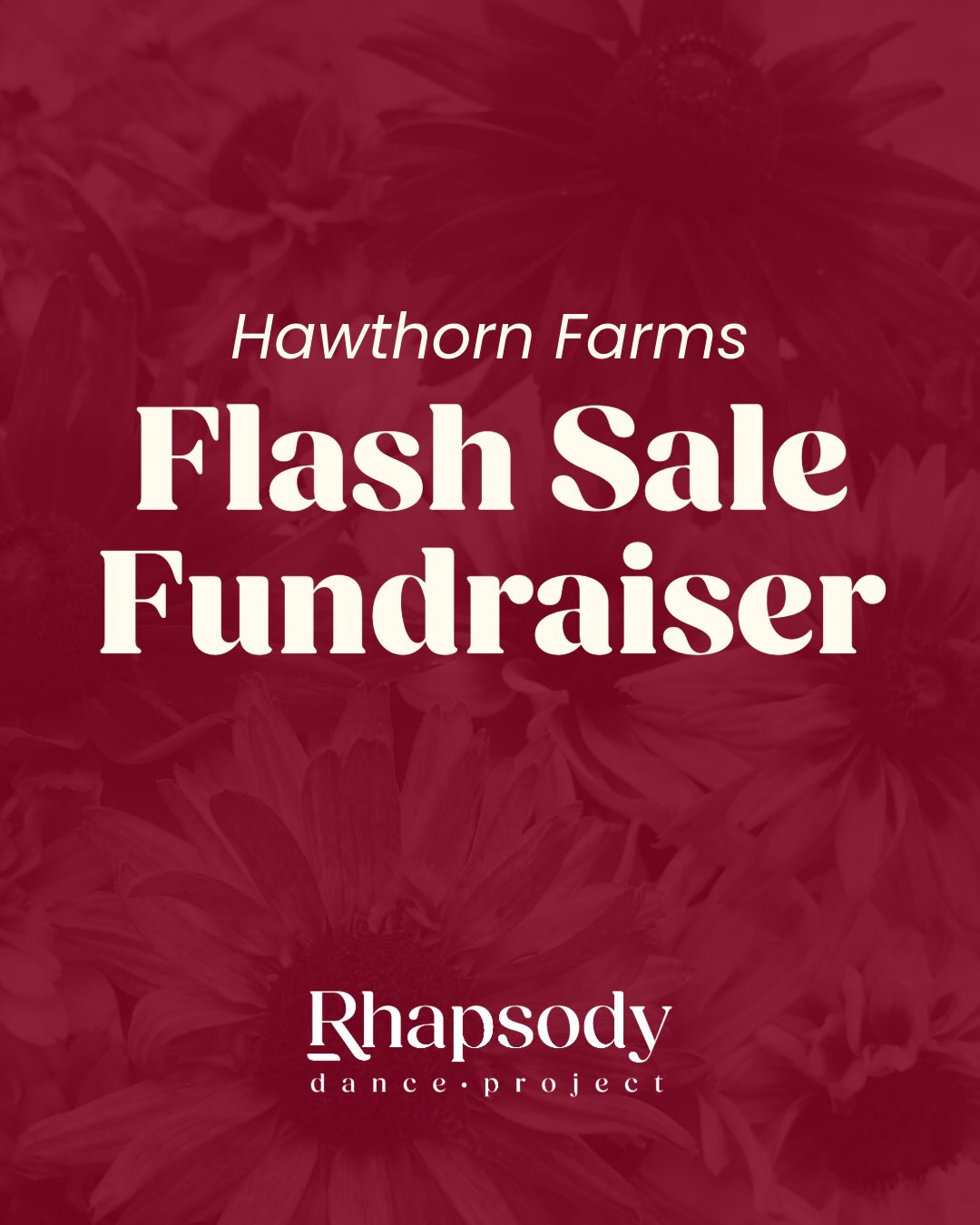 We are so excited to be partnering with @hawthornfarmorganicseeds just in time for spring gardening season!
From Monday May 11 - Friday 15th use code RDP2026 on your seed purchases with Hawthorn Farms and we’ll receive 40% of your purchase to help us reach our goal of $200! These funds go towards our fifth summer showcase.
Orders can be picked up on Sunday May 24th from 1-3:30 pm at Carousel Dance Centre!
The link to purchase will be in our bio on May 11th.
Thank you for your generosity!