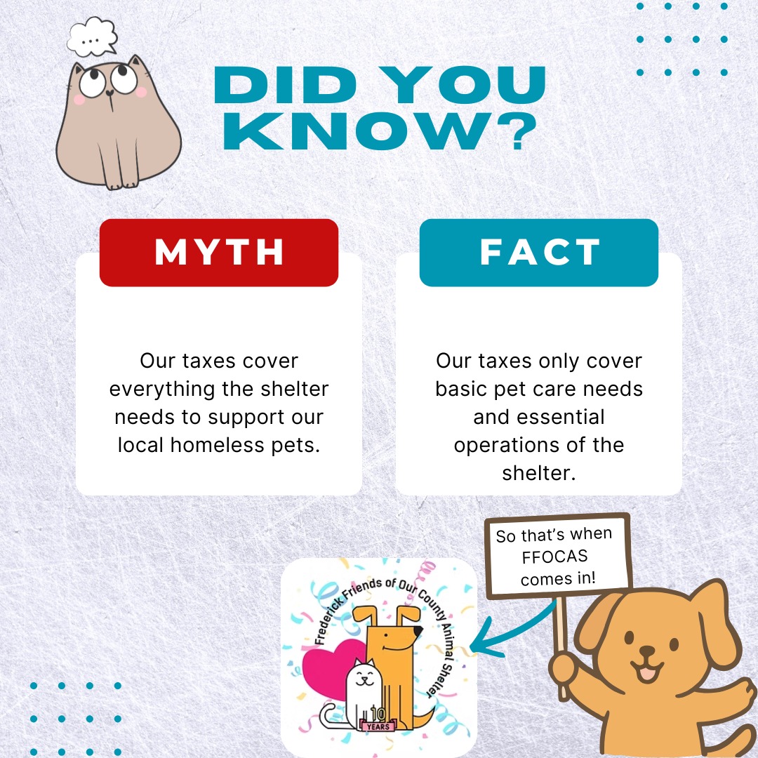 Happy FFOCAS Fact Friday!
Where taxes fall short, we fill in the gaps so that homeless pets can have the medical and behavioral support they need while they wait for their forever home at @fredcoanimalshelter!
We couldn't support the pets at @fredcoanimalshelter without your support! Thank you for caring about our missions and our local homeless pets!
#taxes #aintcuttingit #petsarefamily #frederickcountymd #frederickmd #petsarefamily #petlovers #supportourhomelesspets #petfans #homelesspets #didyouknwo #ffocasfactfriday