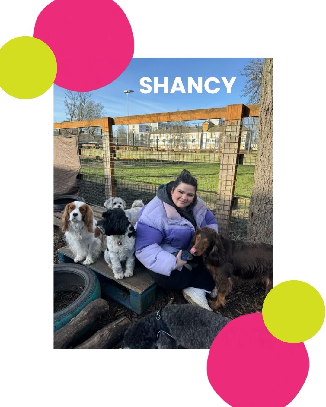Meet Shancy ✨
A little story on her journey at Paws and Pause and also we’d all agree at Paws and Pause is THE most incredible writer!
Our crowdfunder is happening all through May and June where you can help support our trainee program for people in recovery whilst joining us on some fun events and classes! All info in our bio!
#crowdfunderuk
#socialenterprises
#londonlivingwage
#recovery