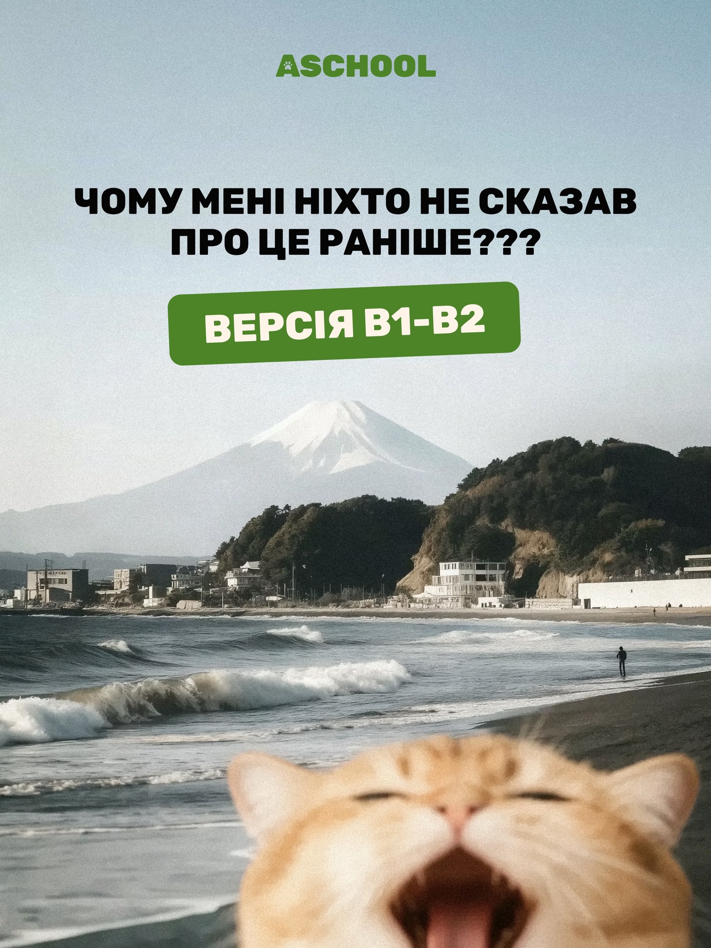 Є така штука, яку ми помічаємо майже у кожного учня на В1-В2 📚 Людина знає граматику, спокійно дивиться фільми в оригіналі, може прочитати статтю англійською і зрозуміти майже все. Але щойно треба говорити — починається паніка і відчуття, що ти ще десь на А2 і краще взагалі мовчати, щоб не позоритись 🙈
На В1-В2 настає момент, коли треба змінити не старанність, а підхід. Менше зубрити — більше використовувати. Менше вчити правила — більше чути справжню мову від носіїв. Цей пост — про конкретні кроки як це зробити.
Є хтось, хто вчить англійську вже «скільки себе памʼятаю» але досі на В1? Перешли йому цей пост — можливо, це саме те, чого не вистачало 😉