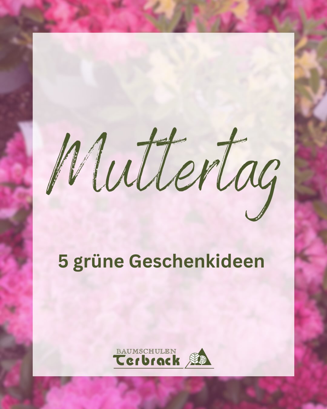 🌸 Muttertag steht vor der Tür 🌸
Noch auf der Suche nach einem liebevollen Geschenk?
Wir haben 5 grüne Geschenkideen für euch zusammengestellt – von blühenden Schalen über duftende Rosen bis hin zum Geschenkgutschein 🌿
Kommt vorbei und lasst euch inspirieren 💚
Welche Idee würdet ihr verschenken? 👇
#Muttertag #Geschenkideen #Baumschule #Blumenliebe #Pflanzenliebe Gartenfreude Geschenkgutschein Rosen Dahlien Kräuter Muttertagsgeschenk Gärtnerei Pflanzen BlühendeSchale Garteninspiration