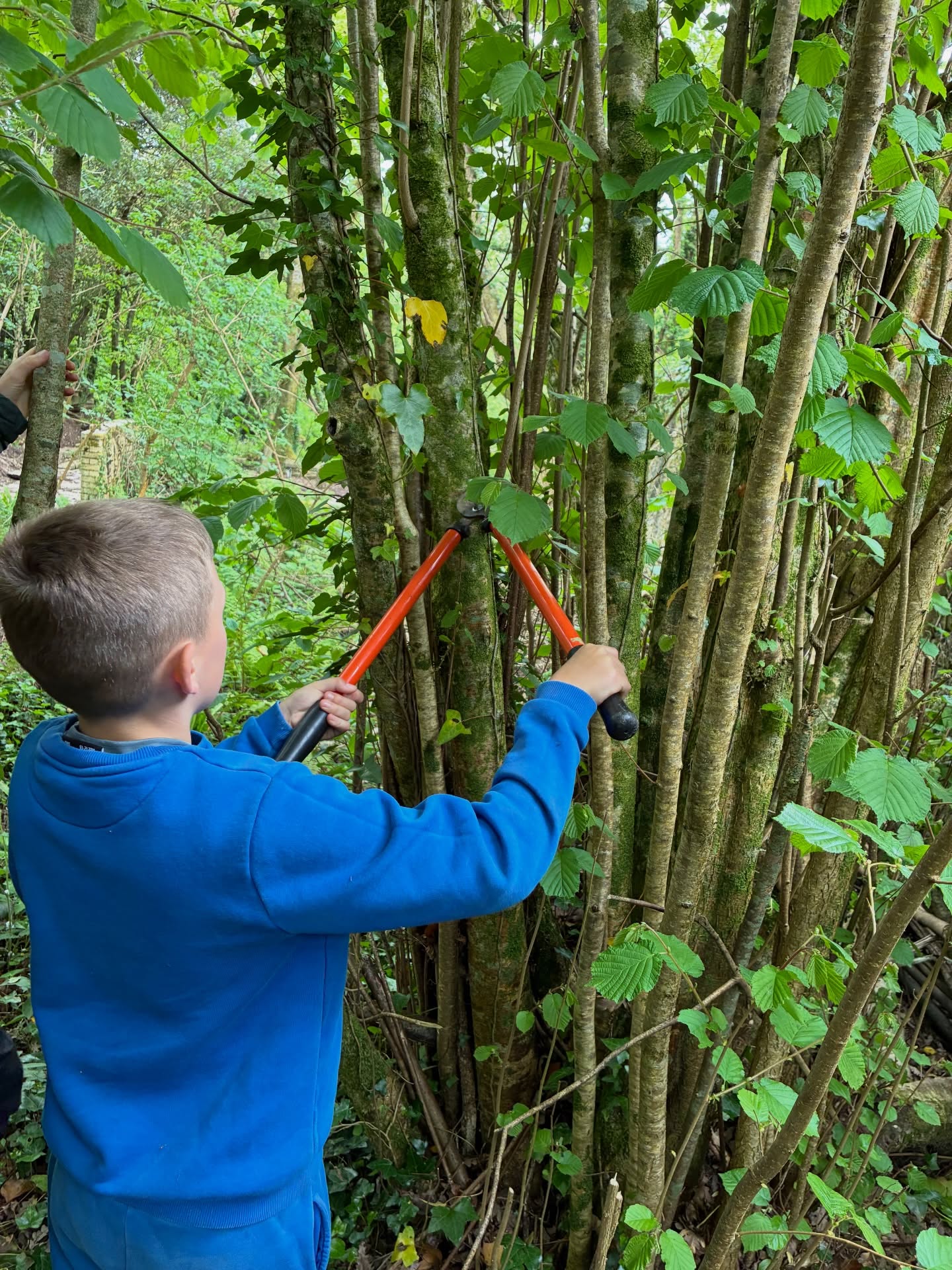 Whipping & Weaving
Where possible our resources are taken from environment and put back into use in a productive and sustainable way.
#weaving #permaculture