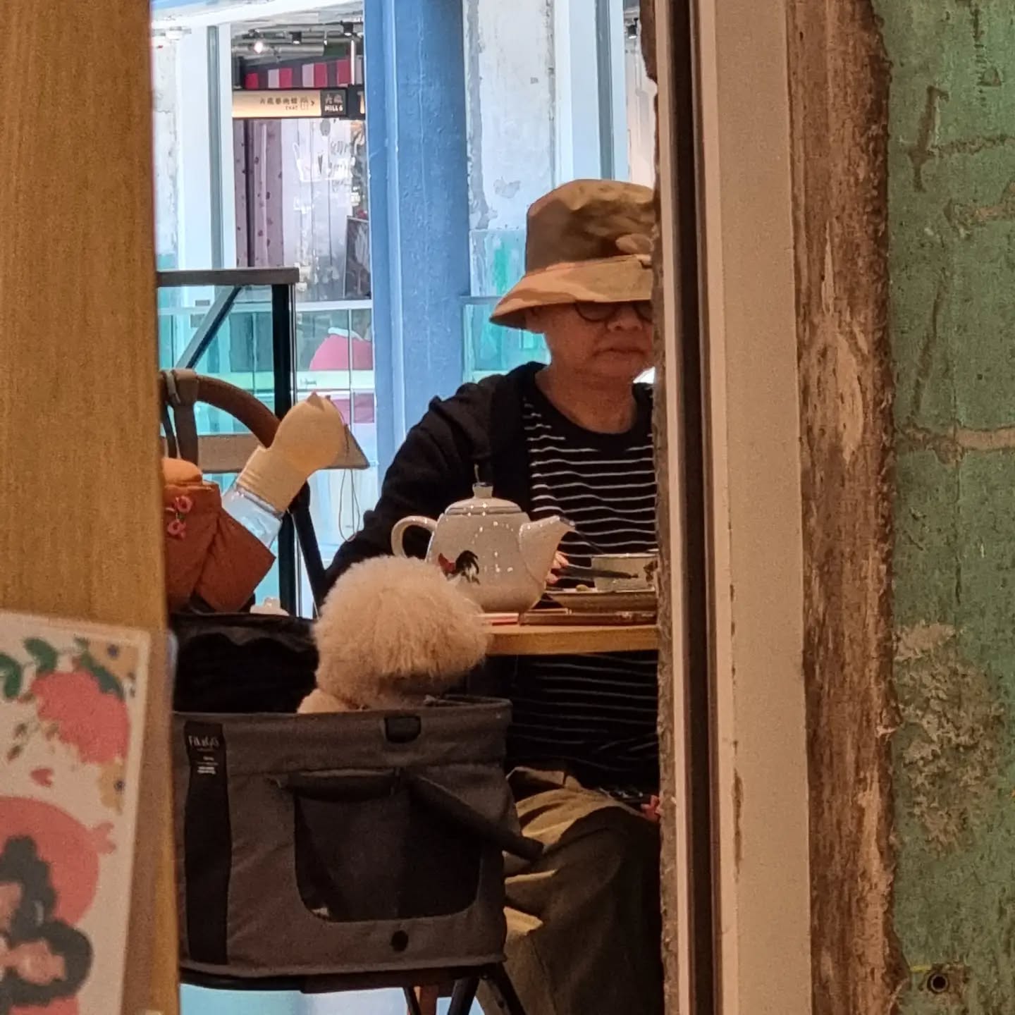 Its a dog's life in Hong Kong. Gourmet food , baskets and pushers and very snappy hair dos.