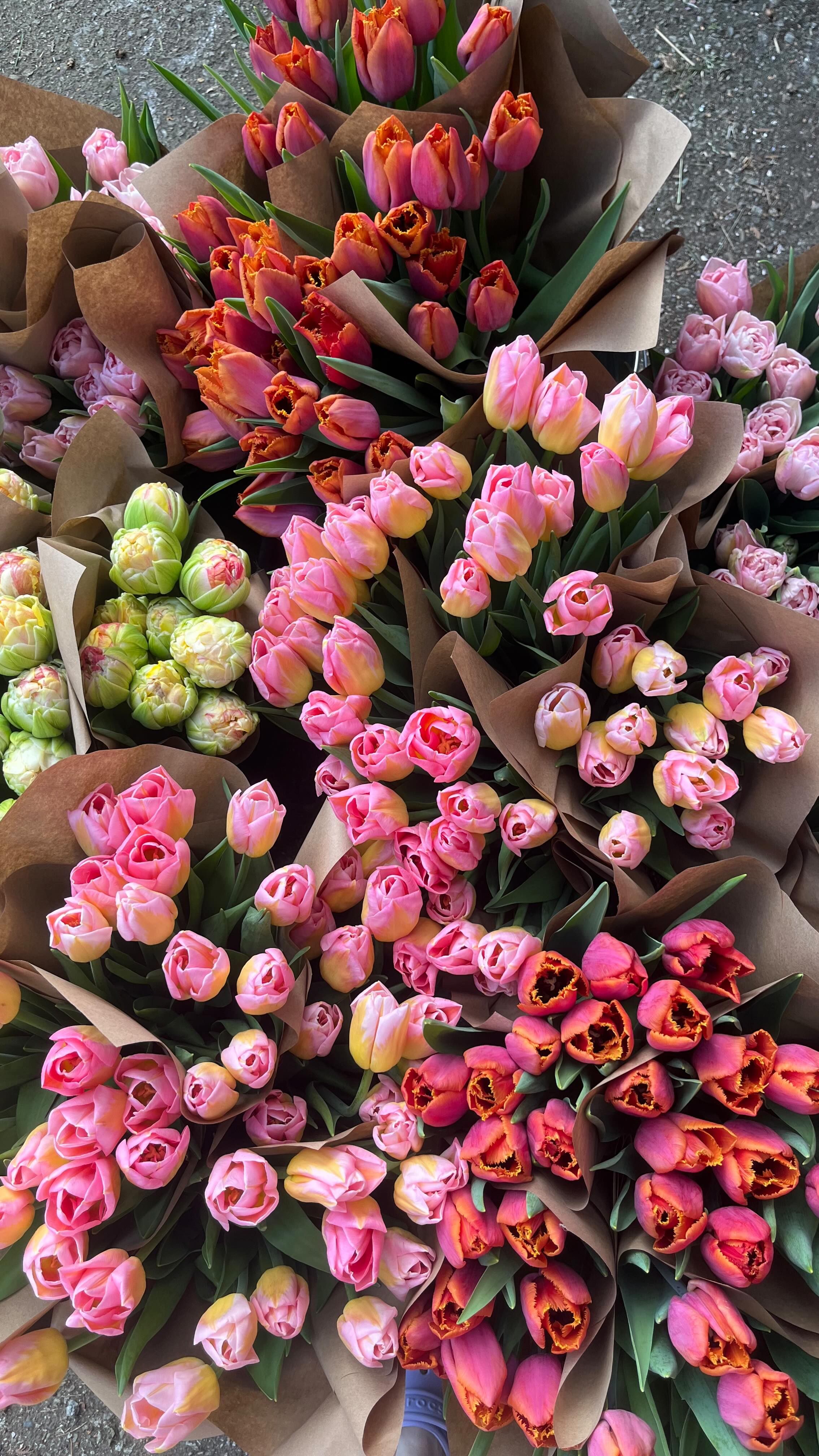 Where to find our flowers this Mother’s Day?
🌷 preorder online for pickup from our studio in Uplands (link in bio)
🌷 grab a bunch of tulips from the Mother’s Day Market at the South Langley Church on Saturday May 9th from 10-4