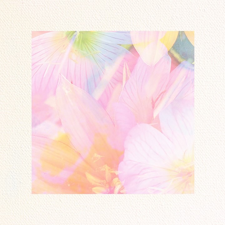“All that we see or seem is but a dream within a dream” • Edgar Allan Poe
• a profound concept that Edgar Allan Poe writes • reality is but a fleeting layered experience or illusion, within a vast unfathomable truth • bringing to light, if one could dream any dream what would it be? •
🖼️ Floral Dreaming ~ by Lou Broadbent
With love,
Lou Broadbent
Quantum Healing Hypnosis Technique
(QHHT) Level 2 Practitioner ✨
for those seeking more please visit ~
www.stateofselfqhht.com/
#qhht #qhhtpractitioner #innerpeace #healing #selfhealing #spiritualquotes #spiritualawakening #edgarallanpoe #state.of.self.qhht