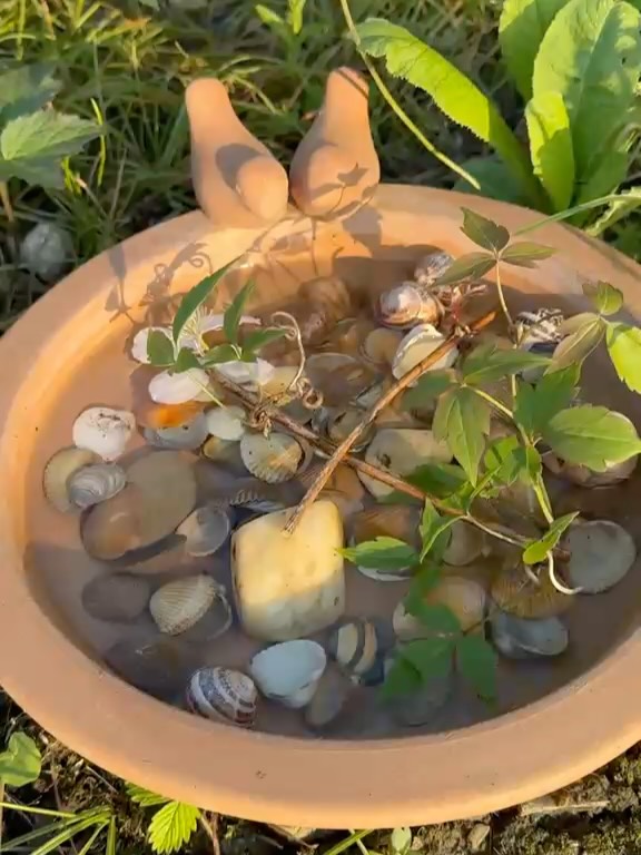 An alle Astrologie interessierten…
In diesem Einführung Workshop werden wir uns auf natürliche Art, durch Achtsamkeit, bewusstes hinspüren, Meditationen und Körperübungen mit den Elementen und astrologischen Prinzipien verbinden und ganzheitlich erfahrbar machen.
Bewusstes Körpererleben nach dem Vorbild der Natur in Verbindung mit dem Mond - und Sonnenzyklus.
In der Widderzeit werden wir uns z. B. mit unserer Willenskraft und mit der Mobilisierung der physischen Energie und der Tatkraft beschäftigen. In den darauf folgenden Monaten nach den Prinzipien des jeweiligen Monats unter der Berücksichtigung des Mondlaufs. Alles nach dem Vorbild der Natur.
ab dem 19. Mai findet zu diesem Workshop immer dienstags ein Kurs statt. 19:00 bis 20:30 Uhr.
Wenn du neugierig geworden bist, komm einfach erst einmal zu unserem Workshop. An diesem Tag wird Dragana dir genaustens erklären, was Astrologie und Yoga für Gemeinsamkeiten haben. Wir freuen uns auf euch.
Dragana 🍀
#astroyoga #astrologie #yoga #verbindungspüren #mitdernatur